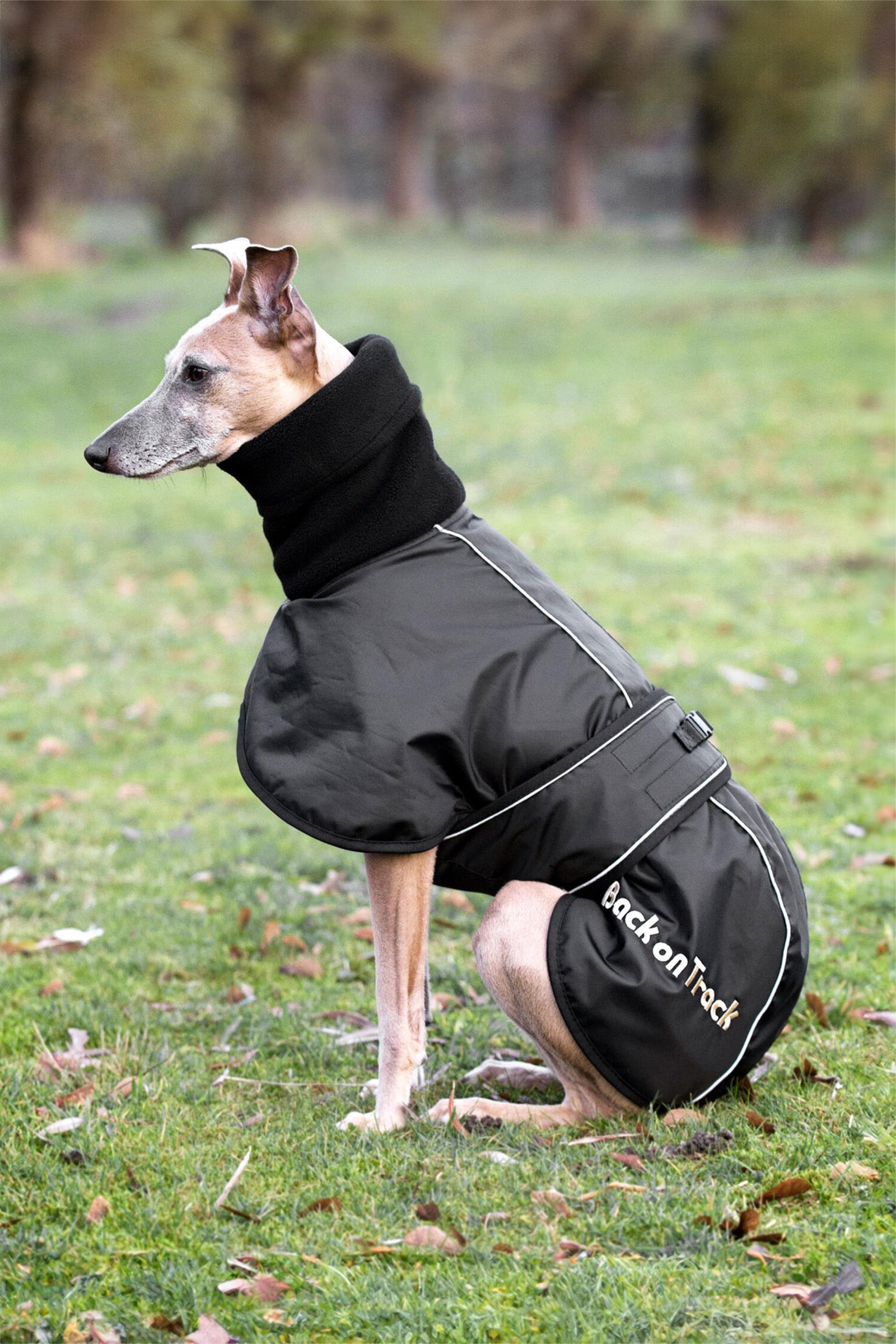 Windhund Hundemantel, XS-M Black XS – horze