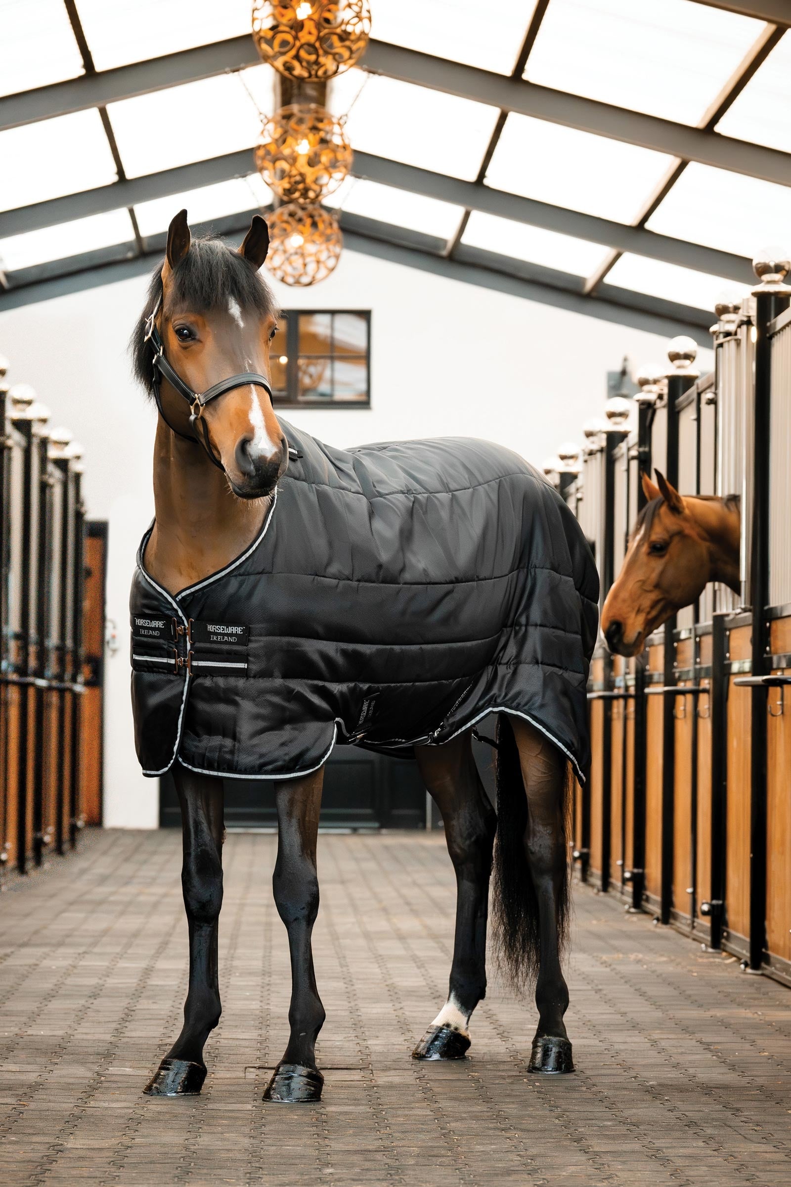 Horses Boxdecke Preseason – 100g Füllung, Mit Kreuz- & Beinriemen, Schweifschoner, Blau