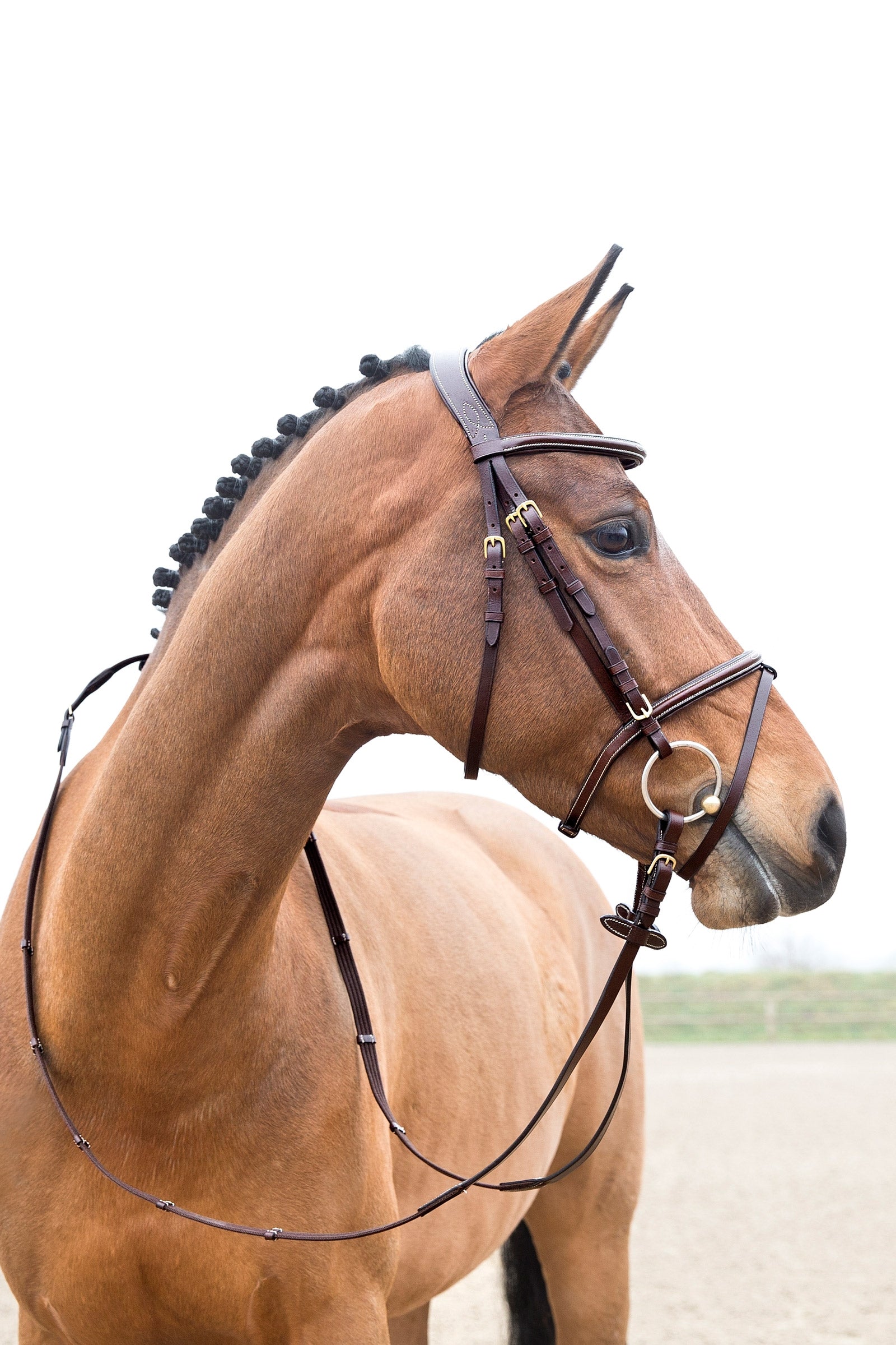 Horze Constance Padded Flash Bridle Bridles & Reins