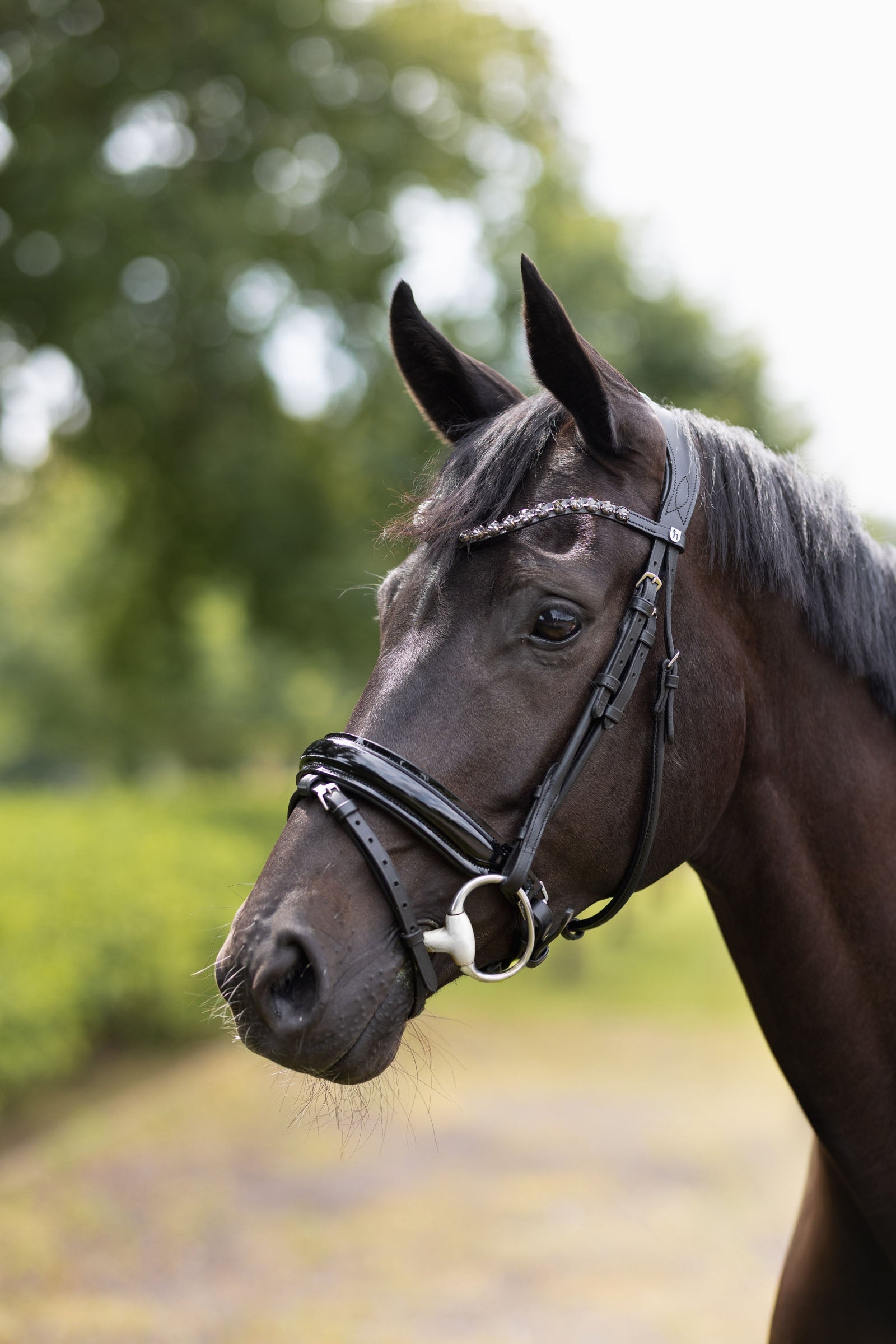 Horze Clermont Anatomic Bridle Bridles & Reins