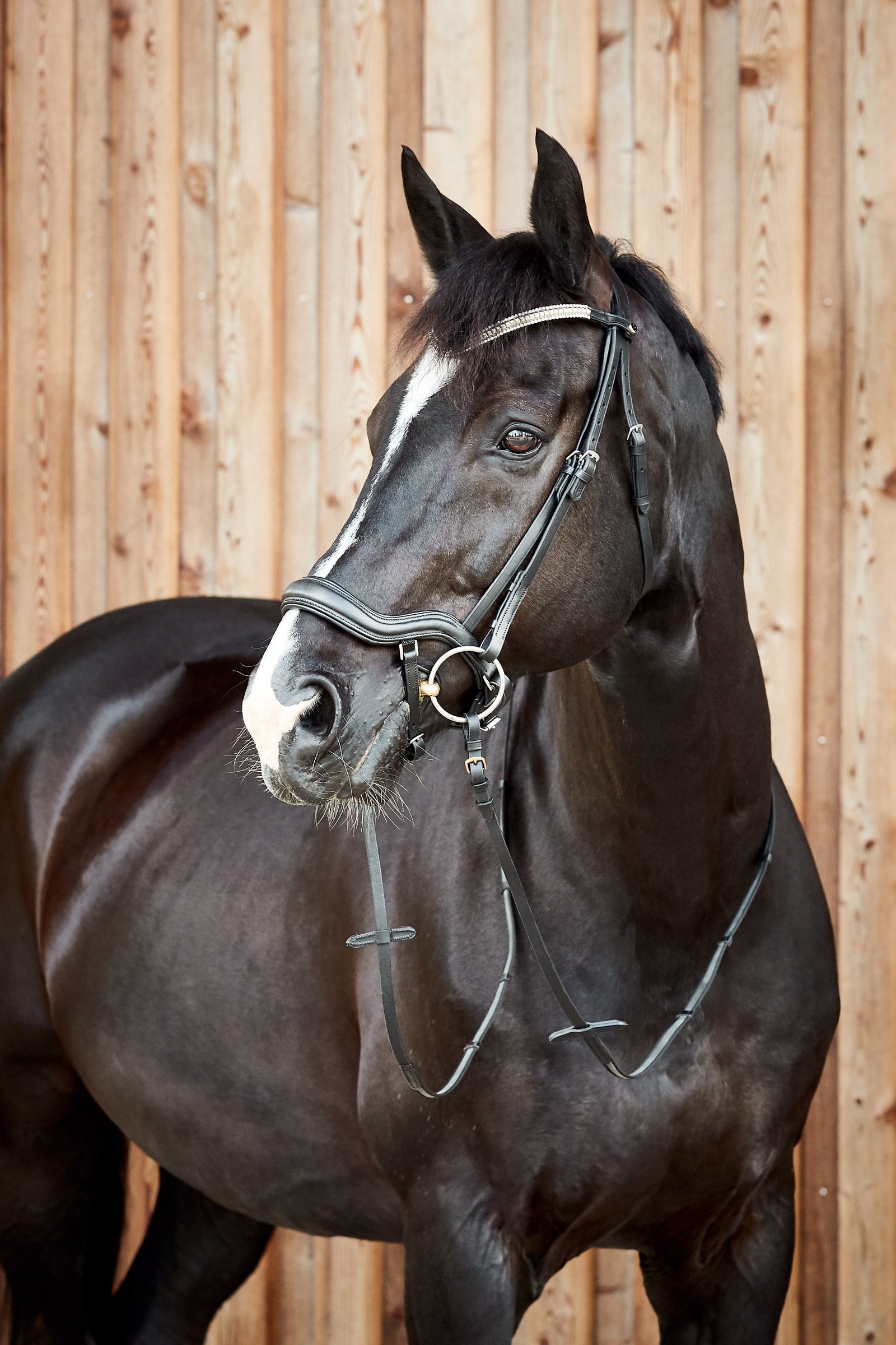 Horze Highbury Anatomic Bridle with Crystal Brow Band Bridles & Reins