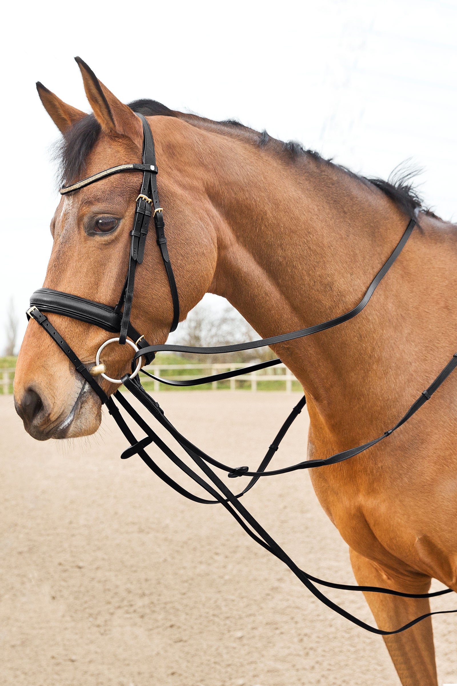 Horze Sparta Leather Draw Reins Bridles & Reins