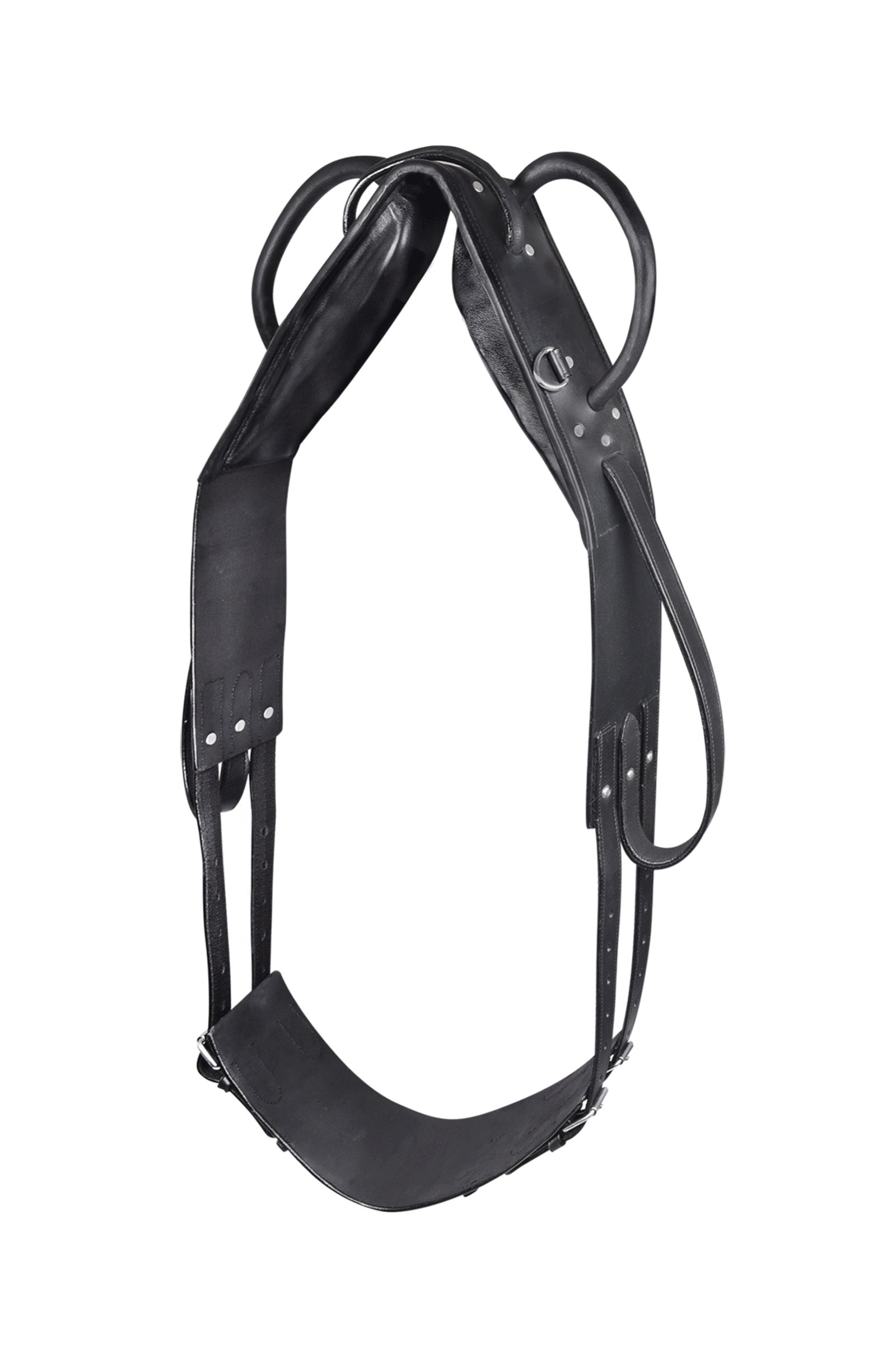 Waldhausen Longier- Und Voltigiergurt Longieren & Bodenarbeit