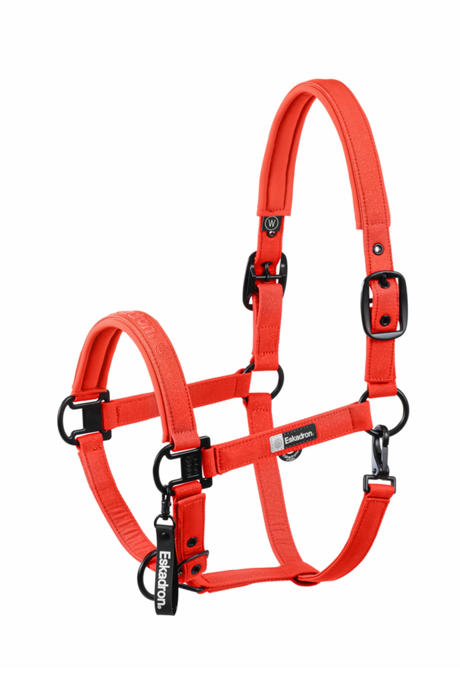 Eskadron Dynamics AW25 Glitzer-Halfter mit Dornschnalle doppelt Halfter & Stricke