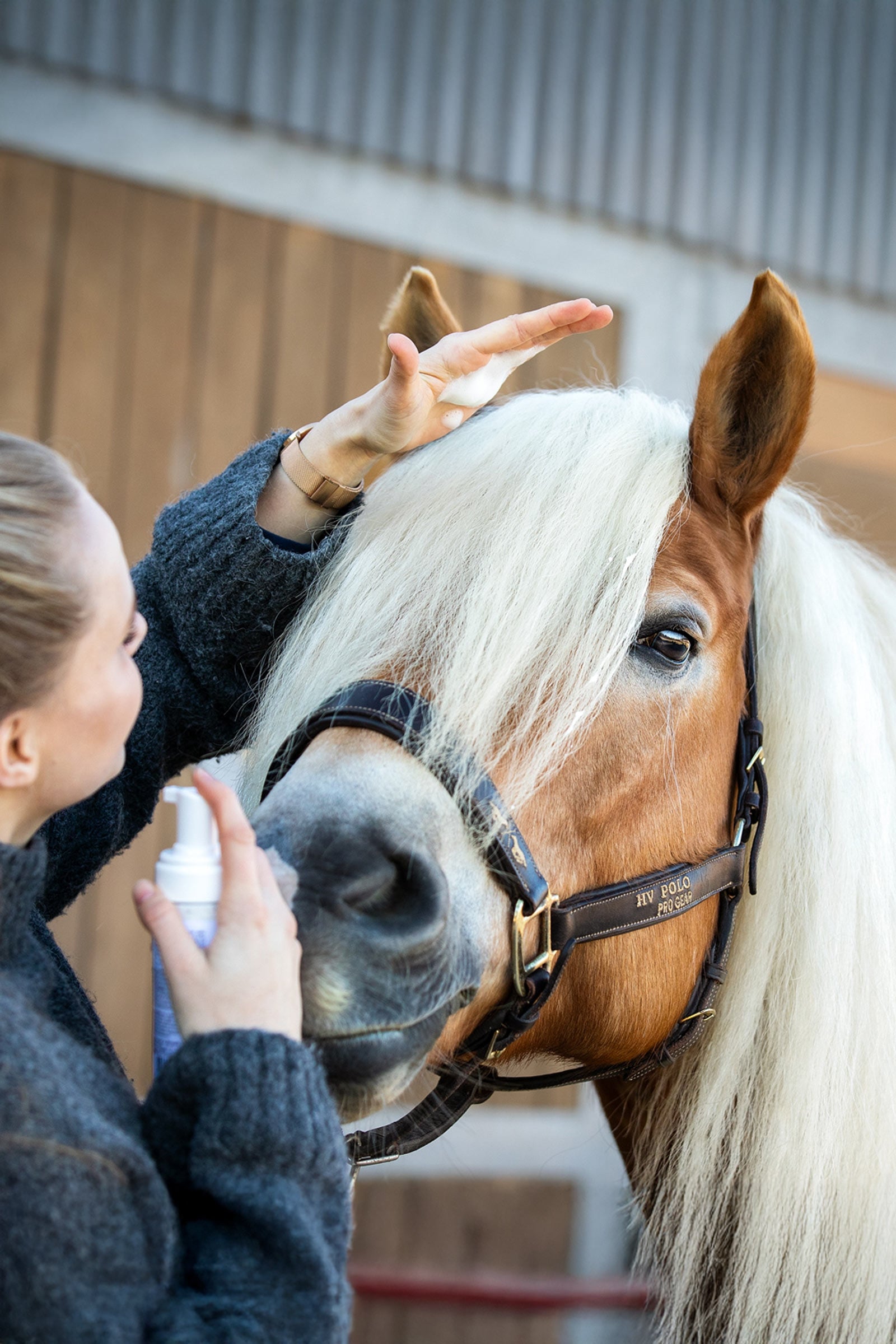 Zedan Natural Mane Foam, 200ml Horse Health Care