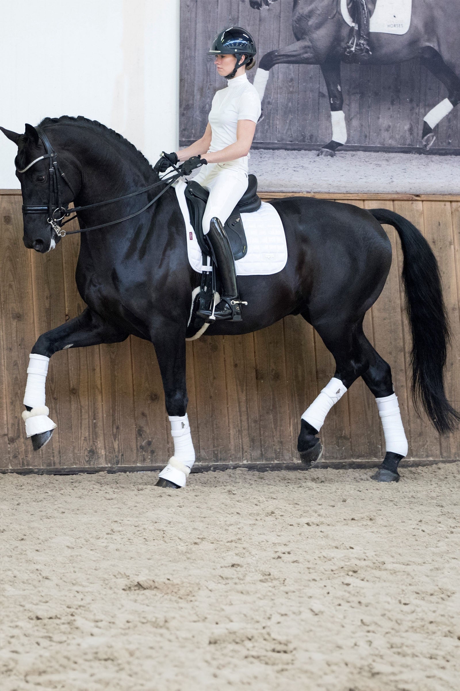 LeMieux Loire Memory Dressage Saddle Pad Saddle Pads