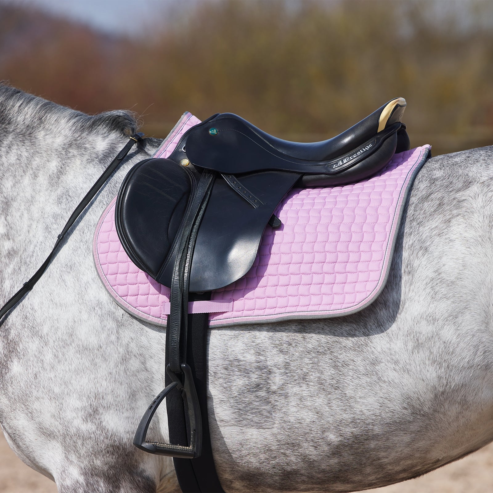Horze Adepto All Purpose Saddle Pad Saddle Pads