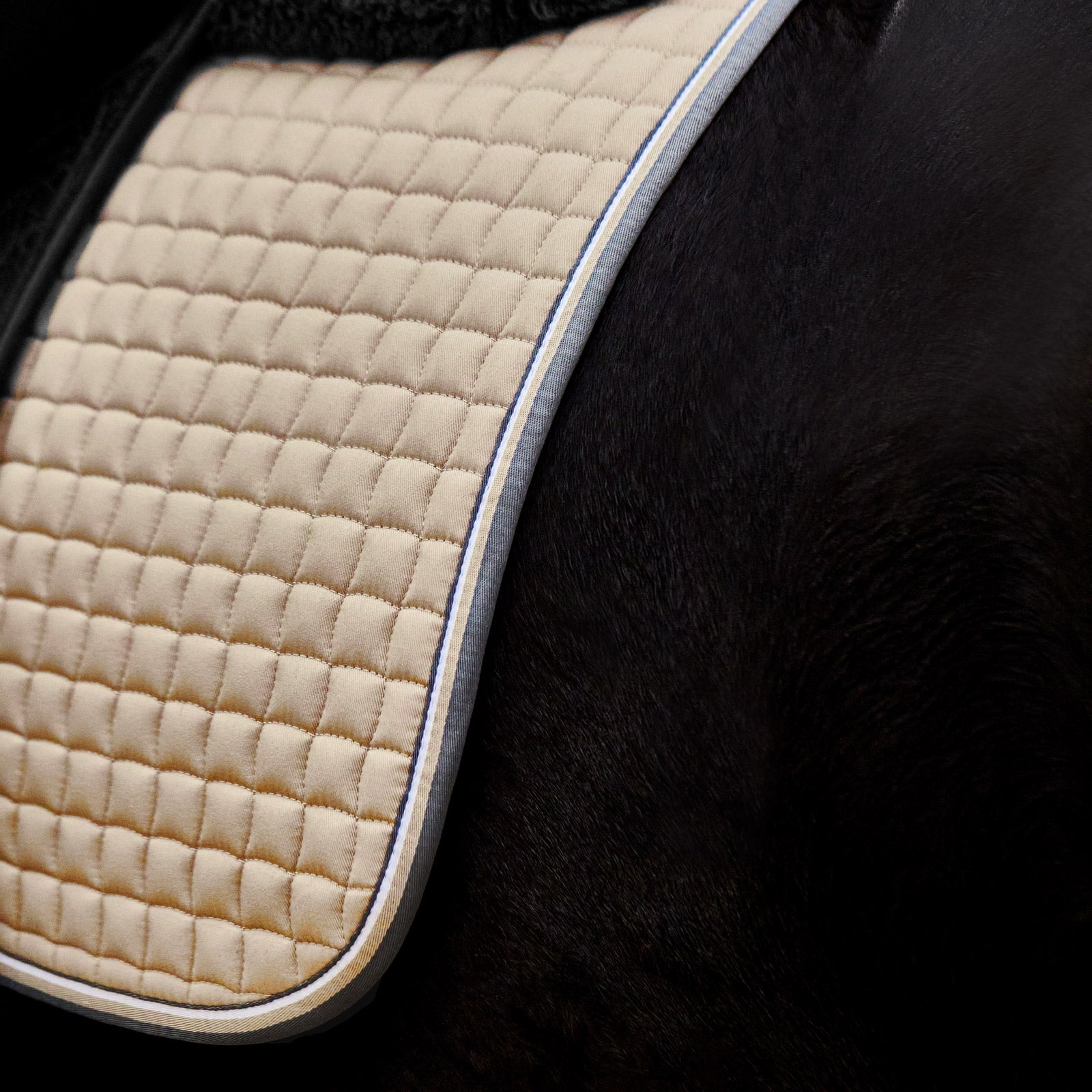 Horze Adepto All Purpose Saddle Pad Saddle Pads