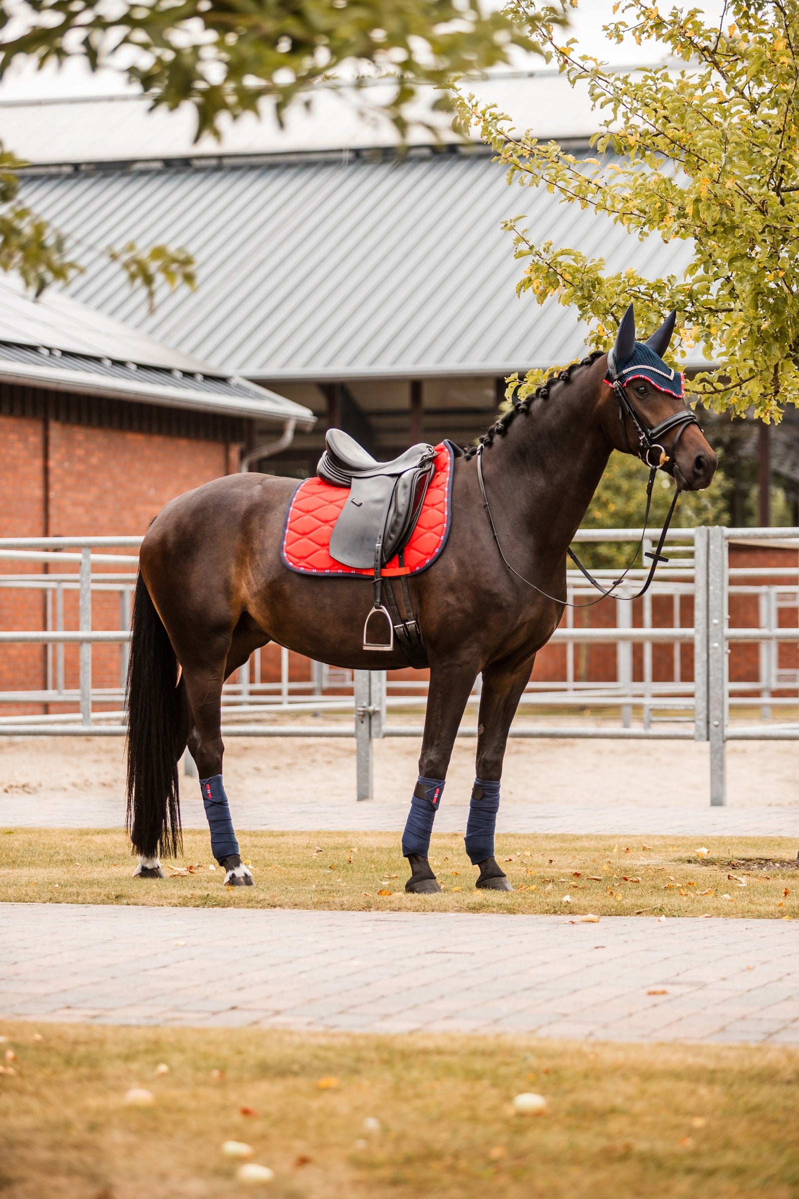 B Vertigo Amory Dressage Saddle Pad with Monogram Embroidery Saddle Pads