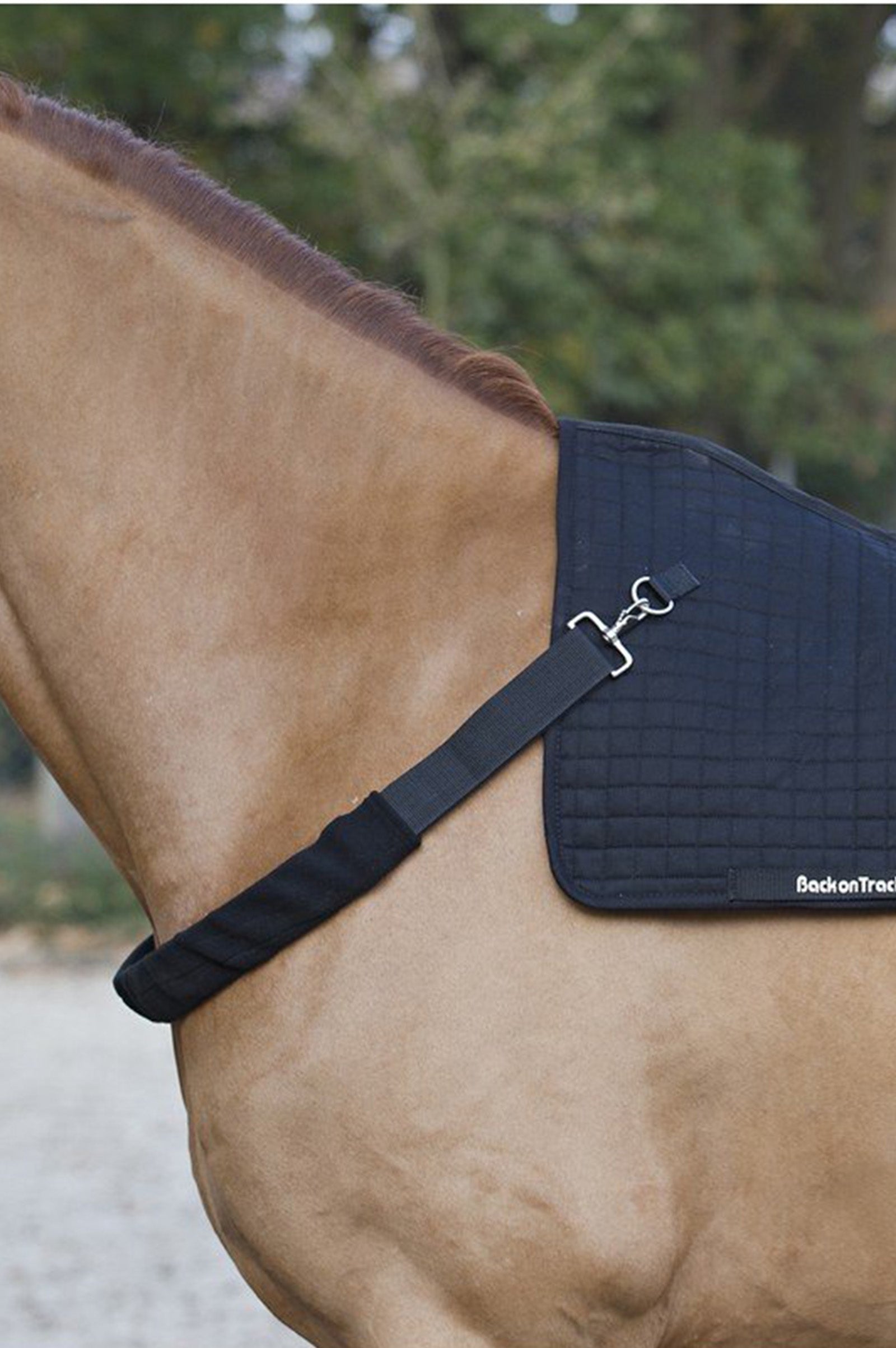 Back on Track Harness Horse Rugs