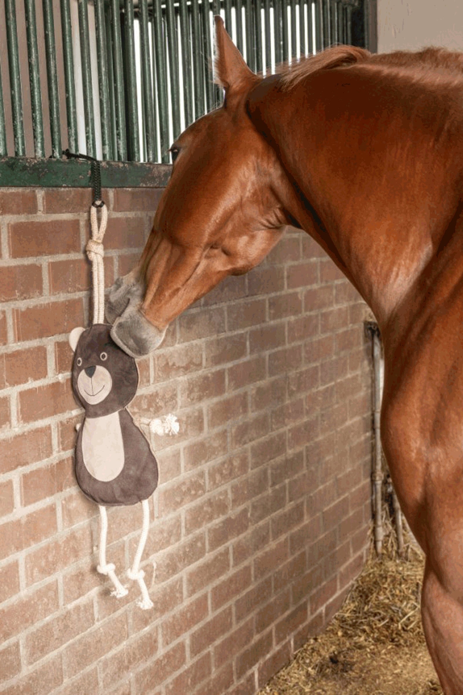 Kerbl Horse Toy Bear Horse Toys & Riding Arena Supplies