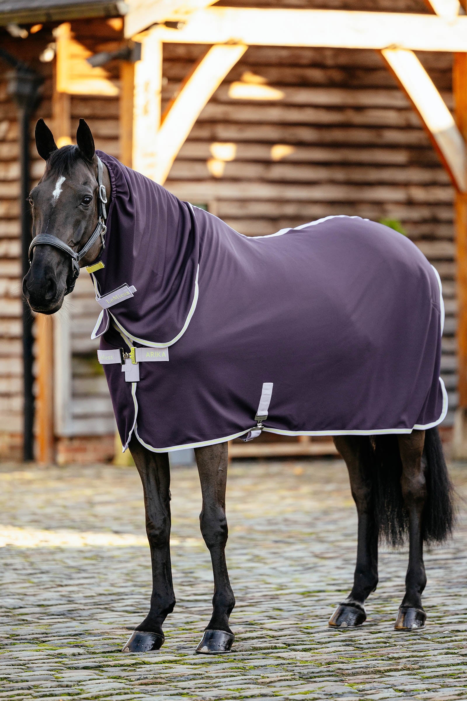 LeMieux Arika DryEase Decke Pferdedecken