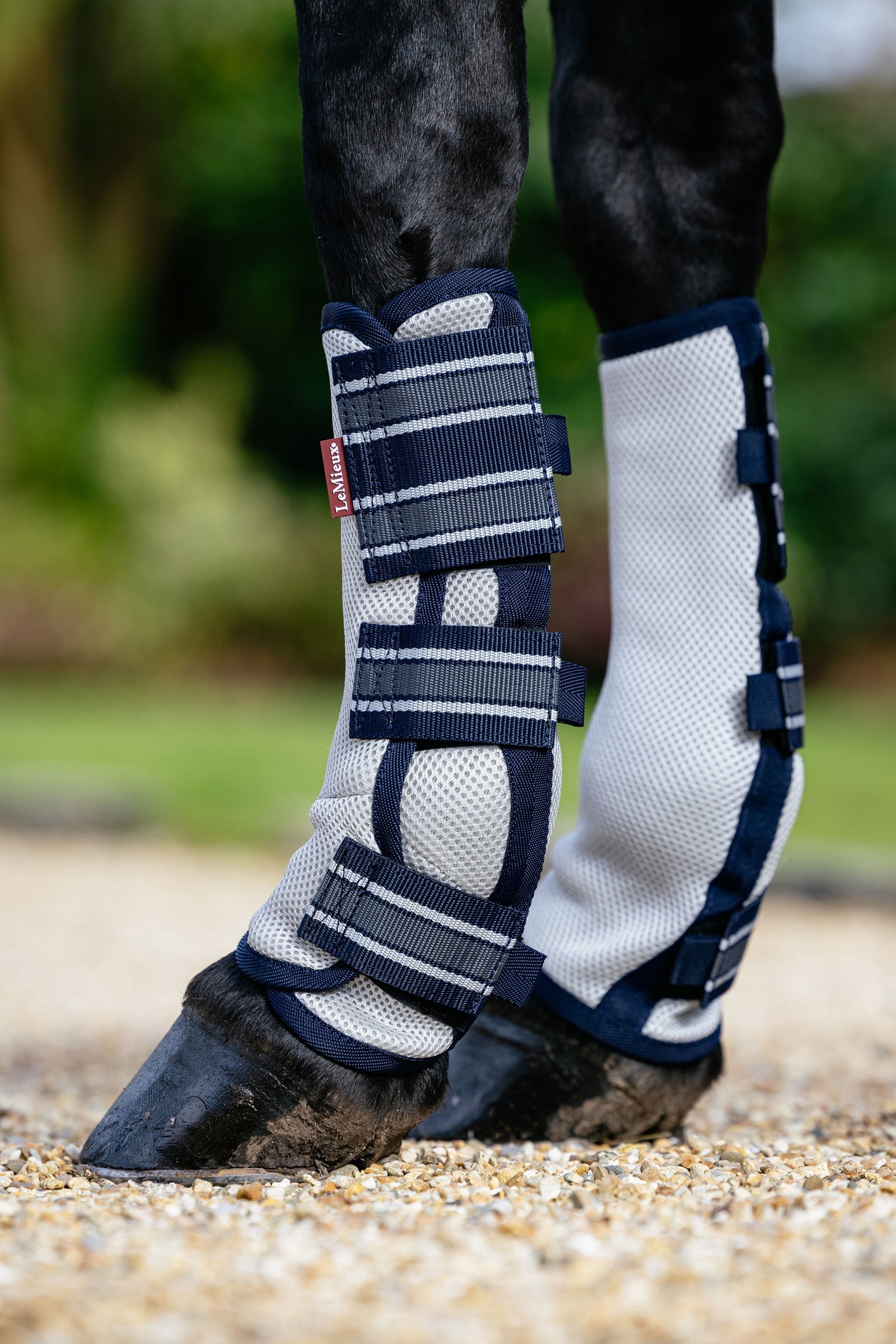LeMieux Arika Mesh Gamaschen gegen Fliegen (Set mit 4 Stück) Fliegenschutz