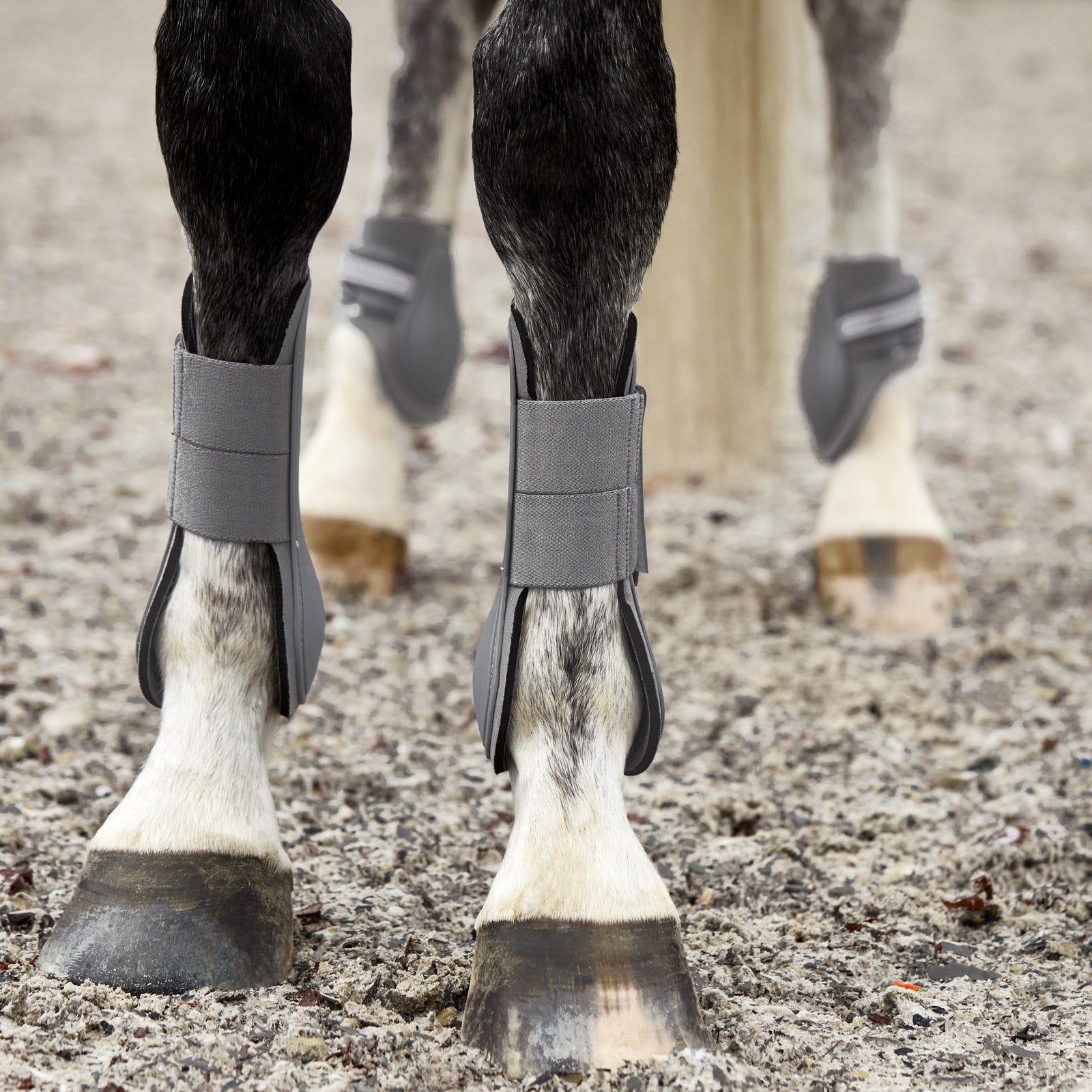 Horze Adepto Tendon Boots Leg Protection & Hoof Protection for Horses