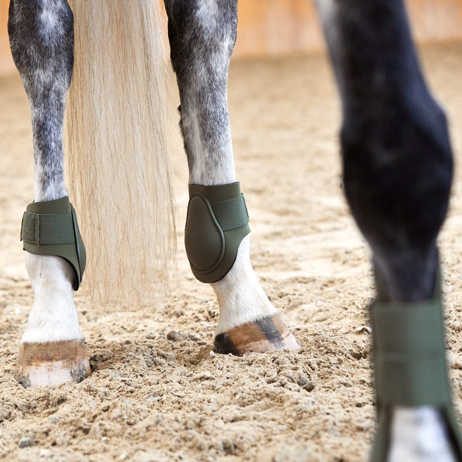 Horze Adepto Fetlock Boots Leg Protection & Hoof Protection for Horses