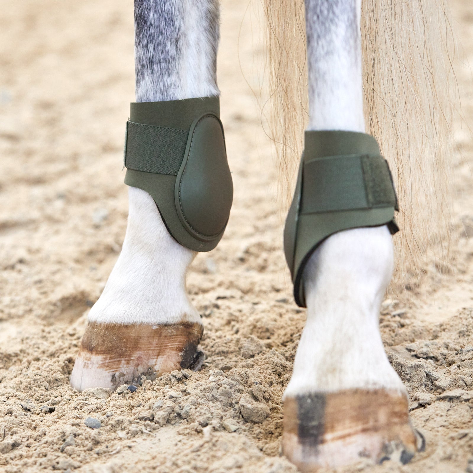 Horze Adepto Fetlock Boots Leg Protection & Hoof Protection for Horses