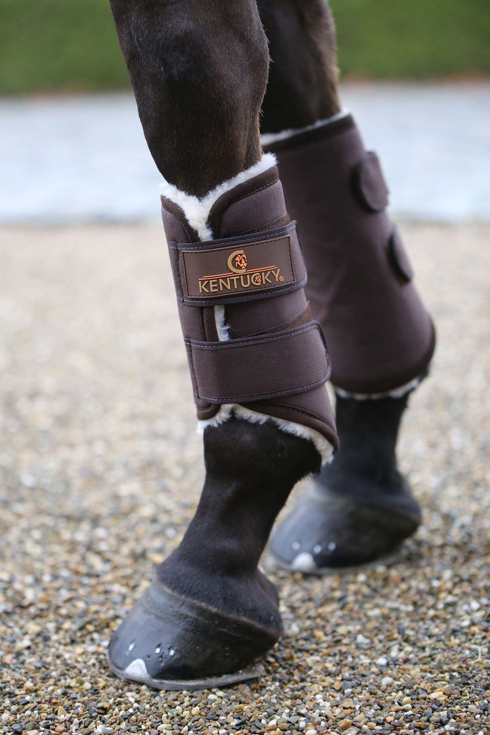 Kentucky Horsewear Solimbra Arbeitsgamaschen Hinten Leg Protection & Hoof Protection for Horses