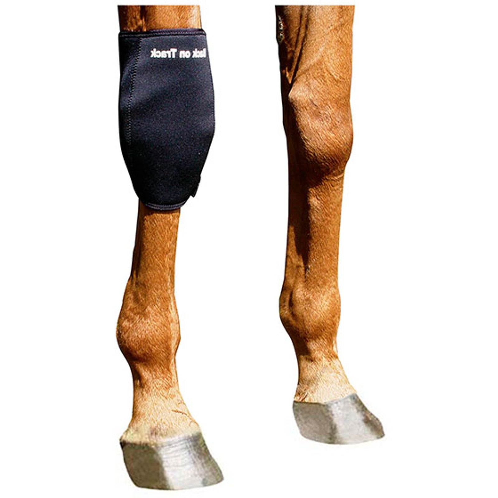 Back on Track Karpalgelenkschoner, rechts Leg Protection & Hoof Protection for Horses