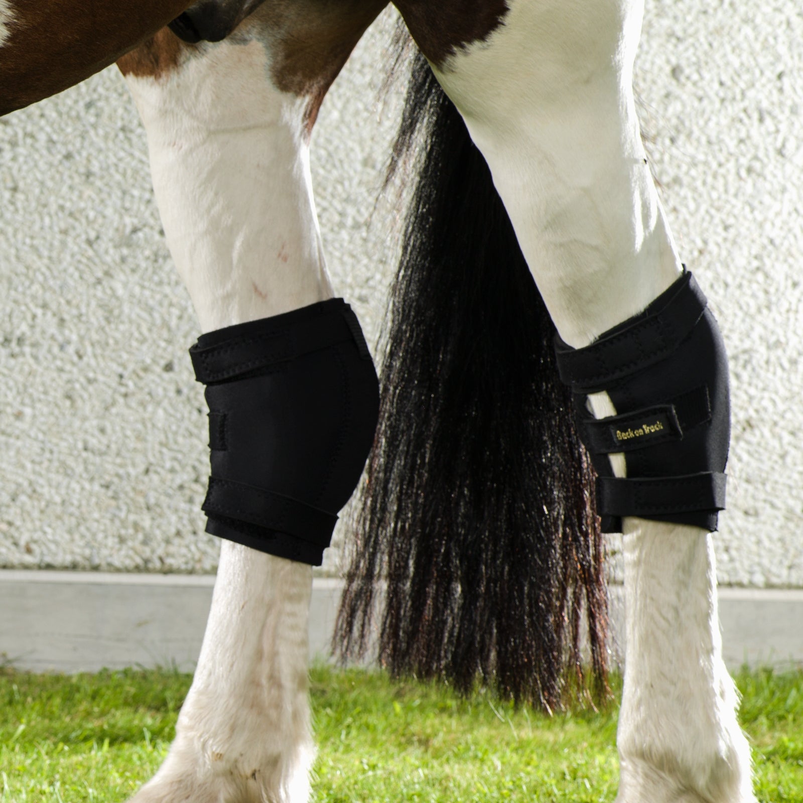 Back on Track Back On Track Hock Boot, Right Leg Protection & Hoof Protection for Horses