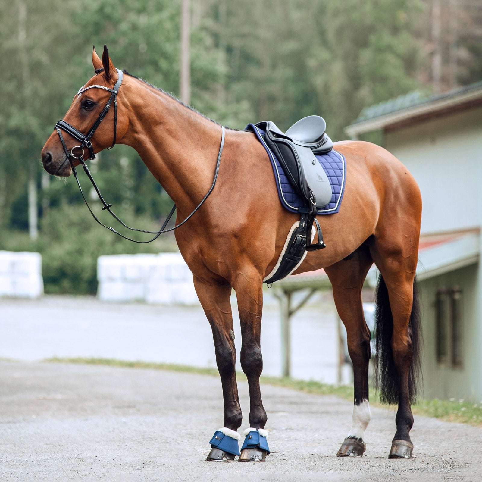 Horze Lincoln Bellboots with Fur Leg Protection & Hoof Protection for Horses