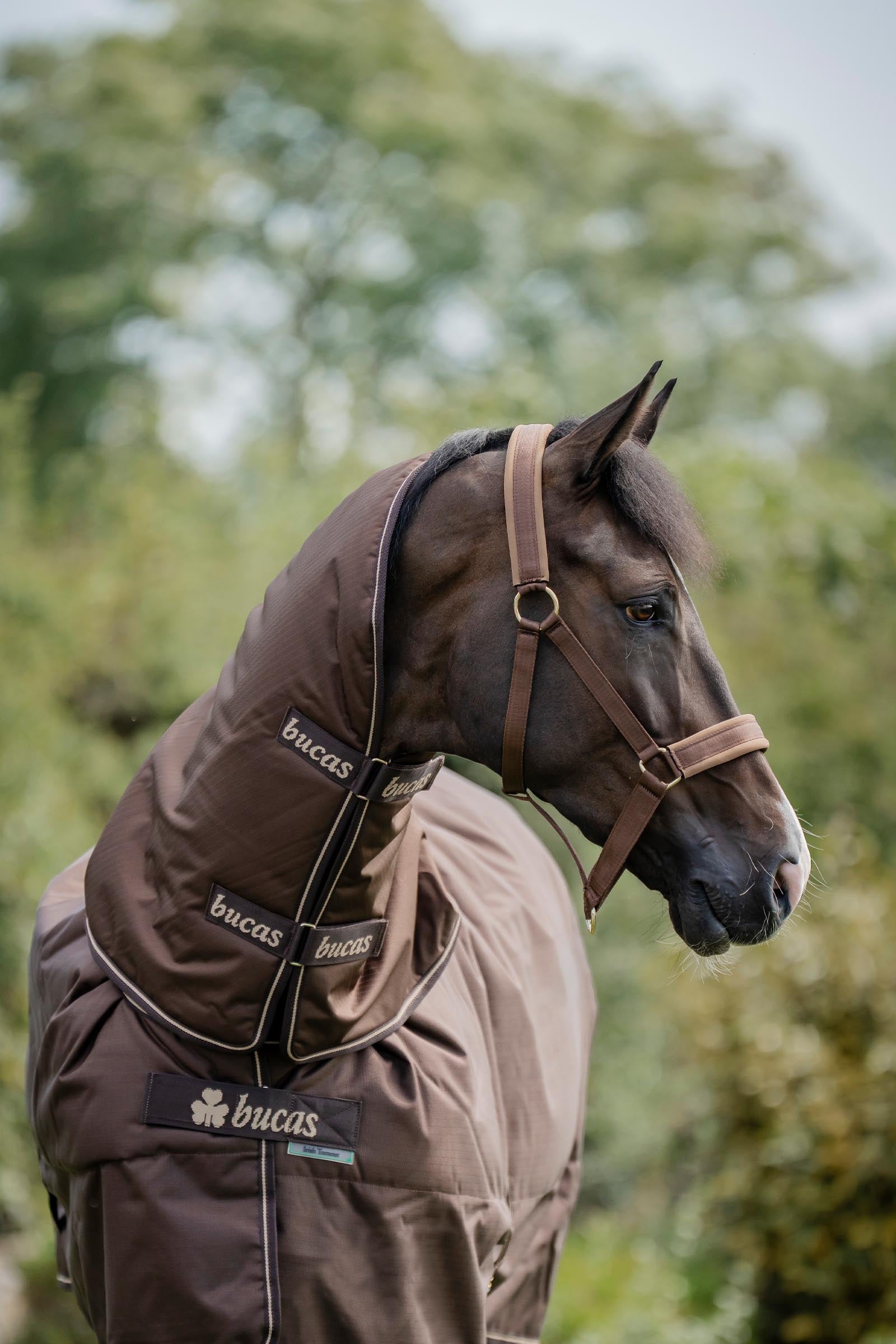 Bucas Irish Turnout Neck Piece, 300g Horse Rugs