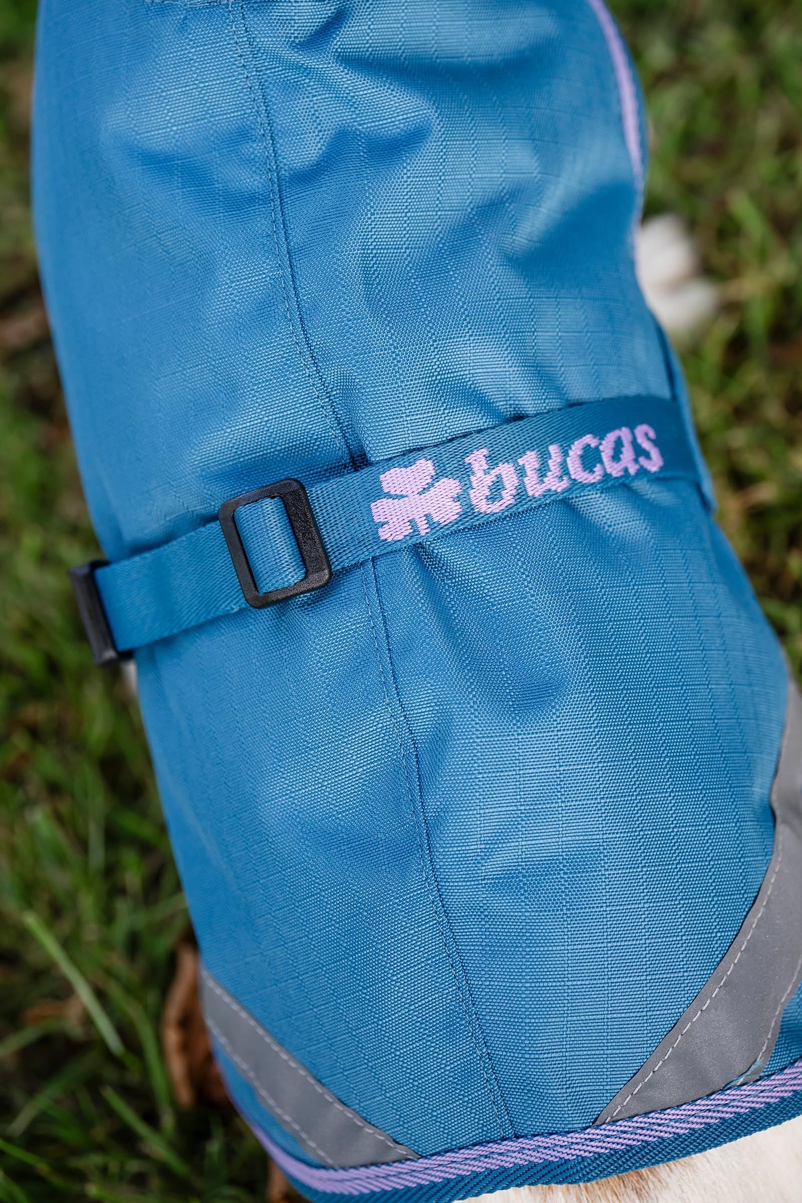 Bucas Freedom Dog Rug, 300g (50-75 cm) Dog Accesories