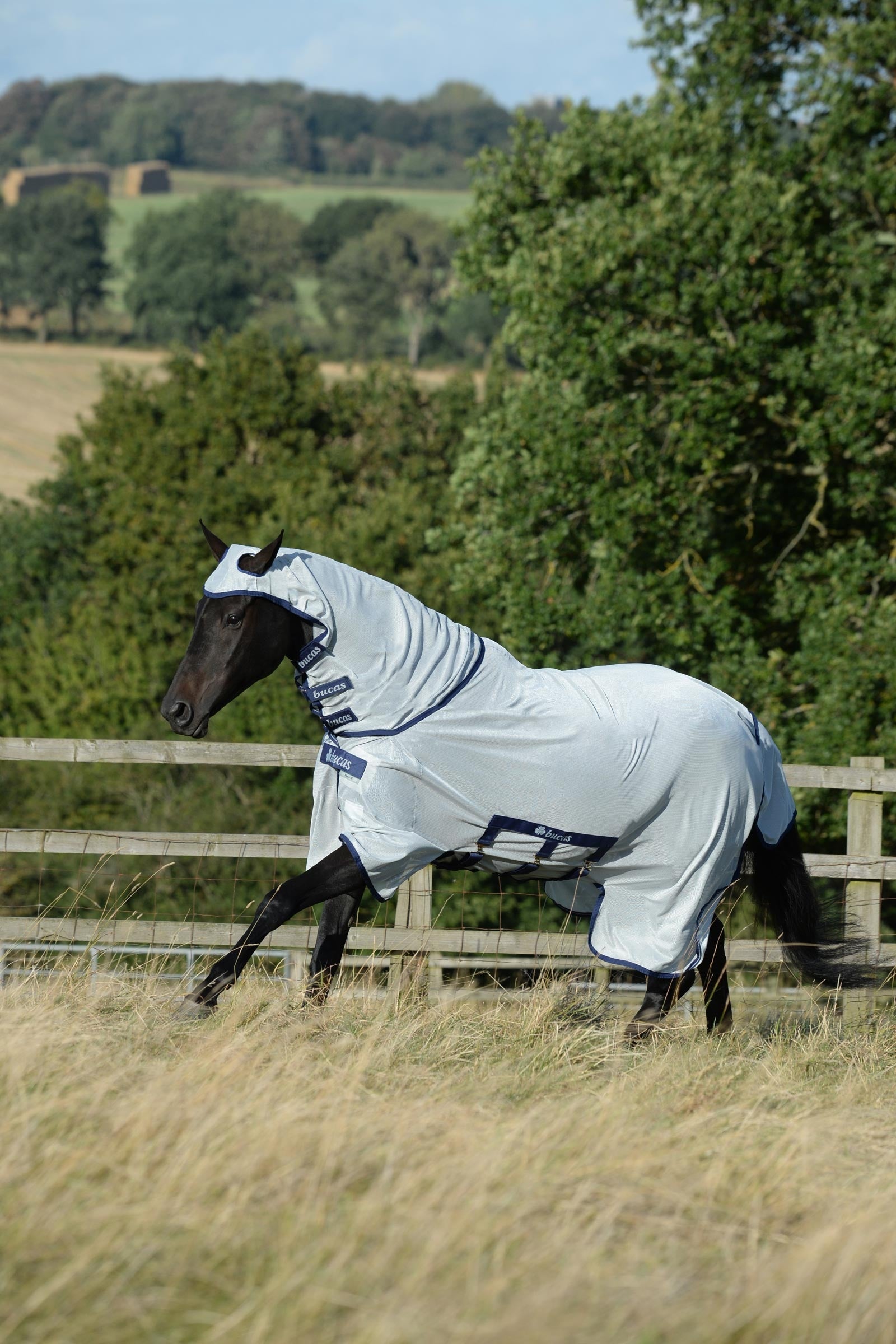 Bucas Buzz-Off X-light Full Neck Fly Rug With Fixed Neck Horse Rugs