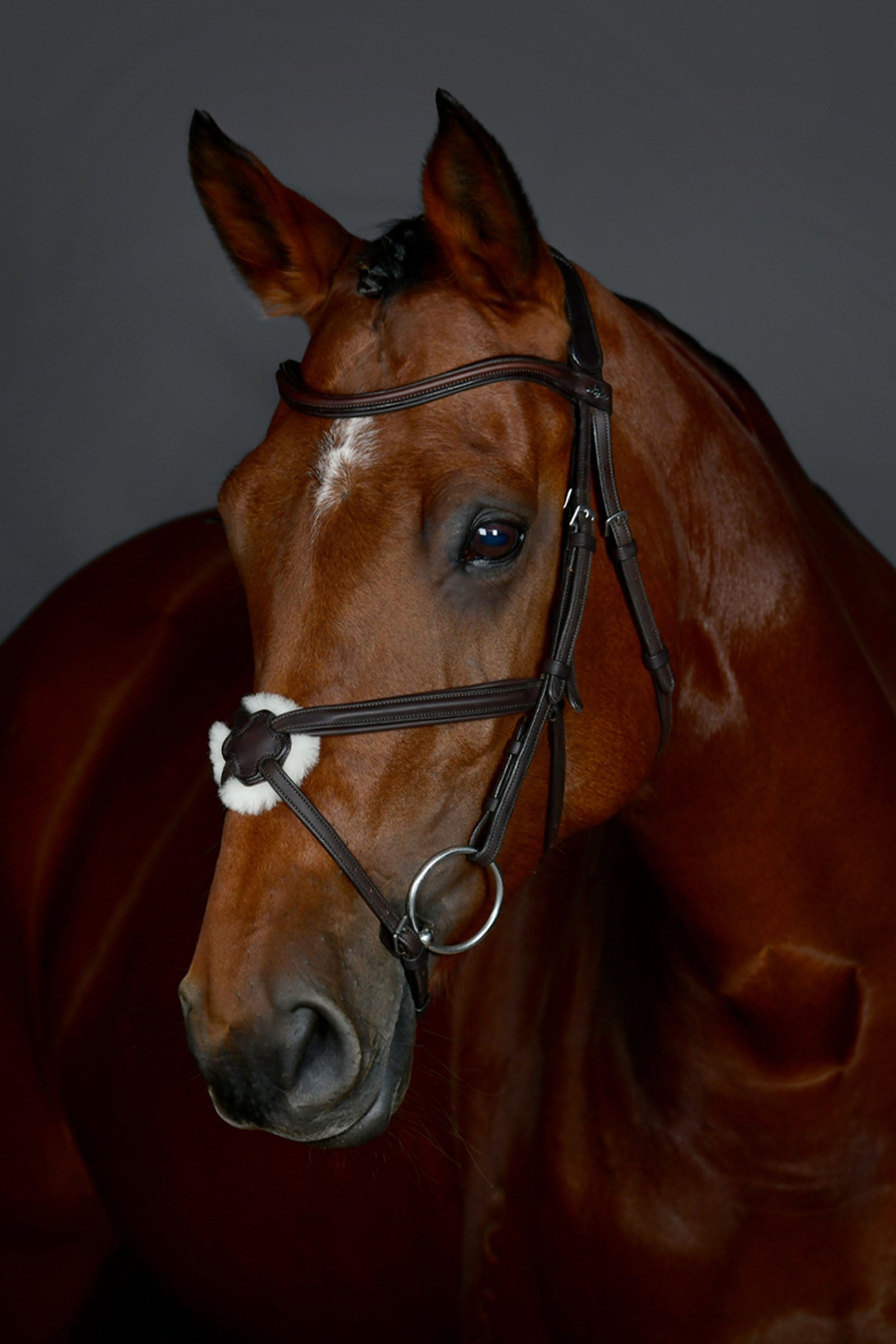 Collegiate Comfitec Opulux schlichte gepolsterte Trense mit mexikanischem Reithalfter Trensenzäume & Zügel