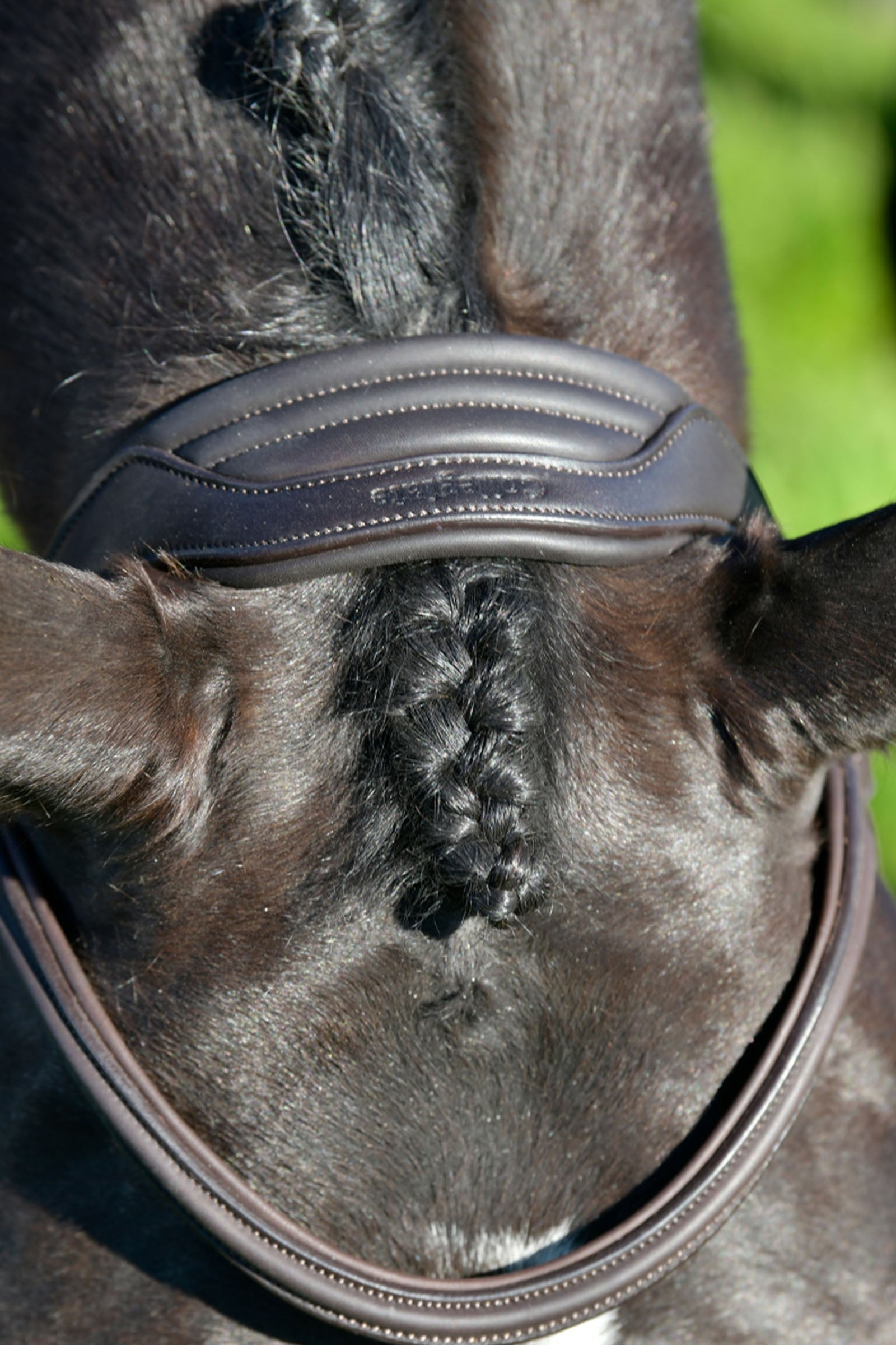 Collegiate Comfitec Opulux Plain Padded Grackle Bridle Bridles & Reins