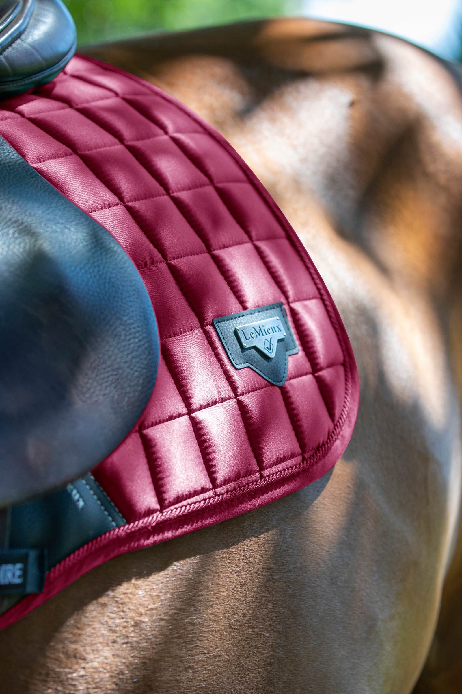 LeMieux Loire Classic Square Close Contact Saddle Pad Saddle Pads