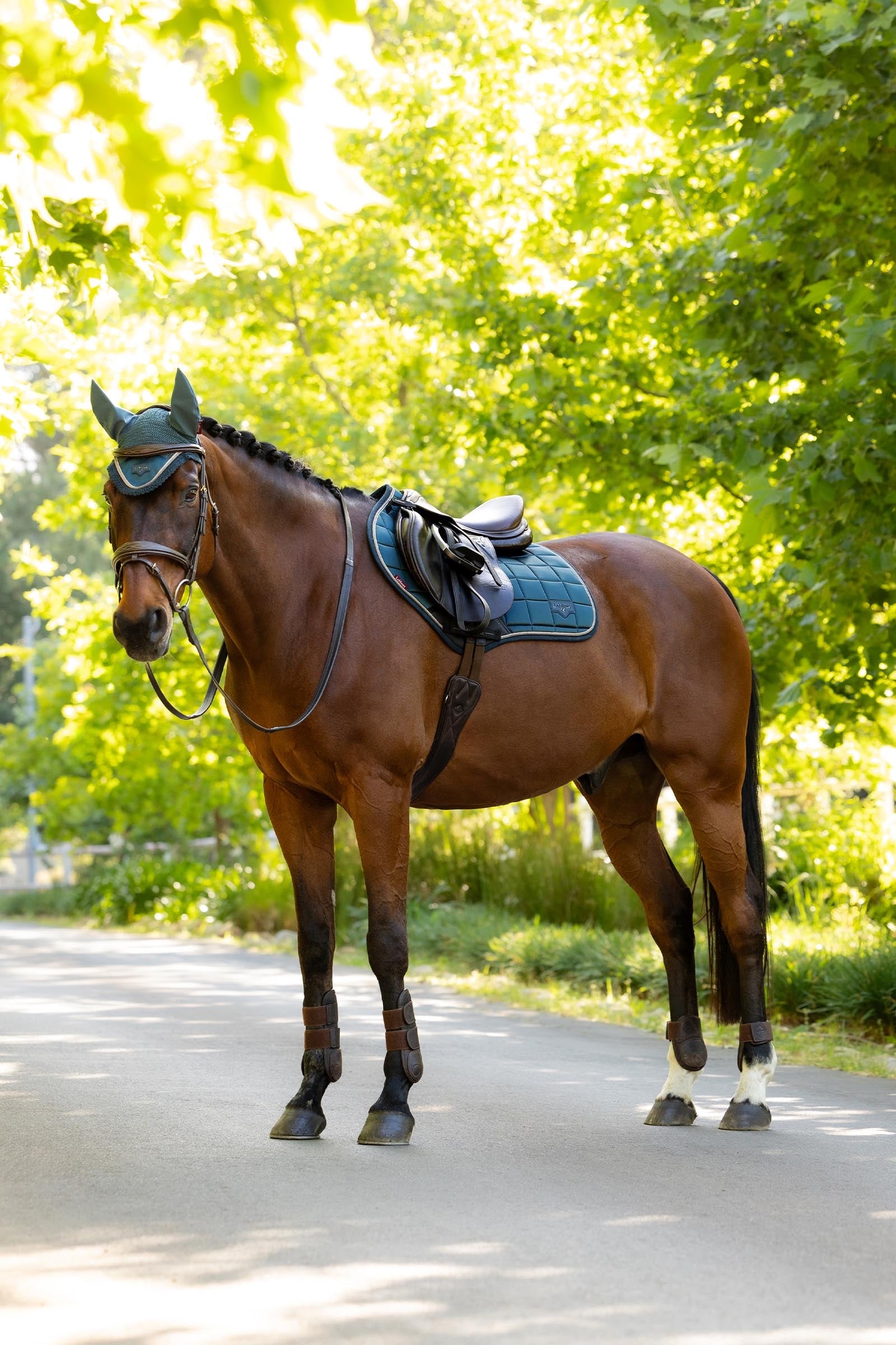 LeMieux Loire Classic Square Close Contact Saddle Pad Saddle Pads