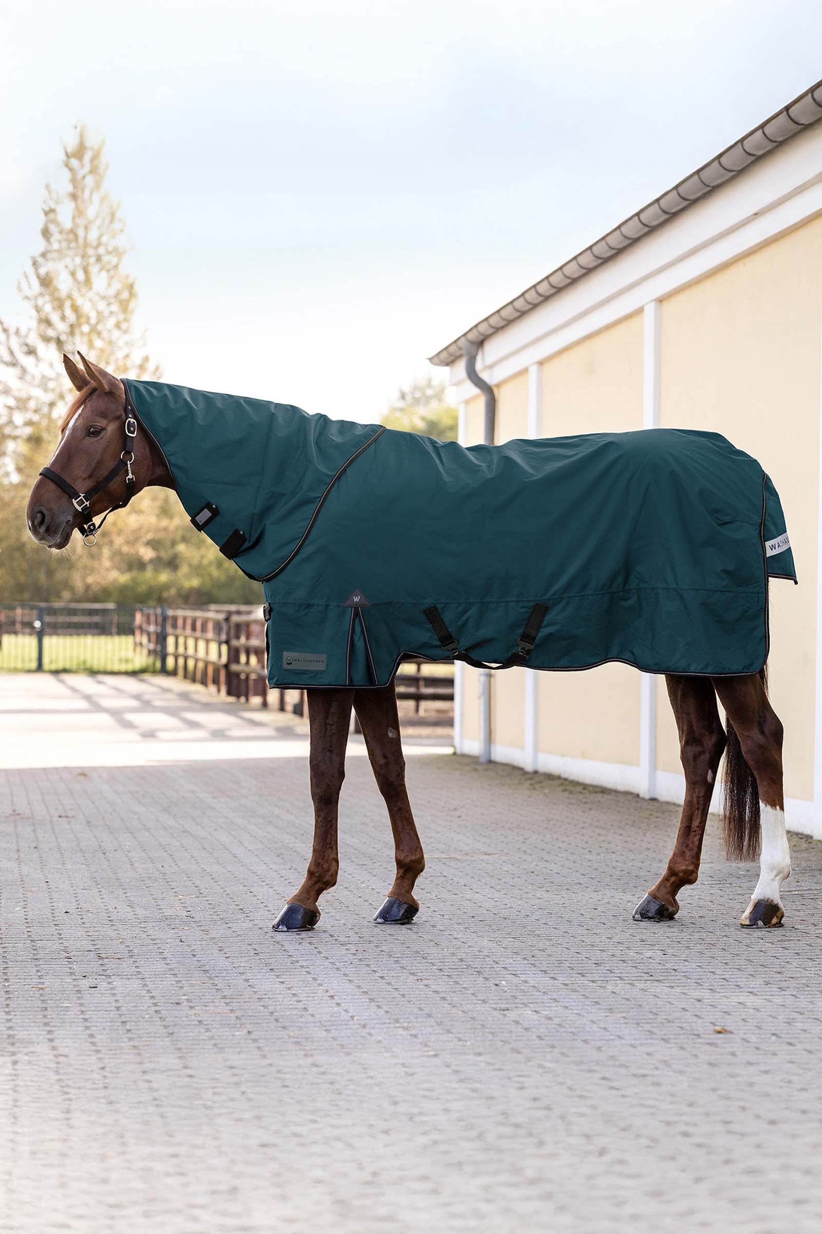 Waldhausen 600D Outdoor Neck Rug, 200 g Horse Rugs