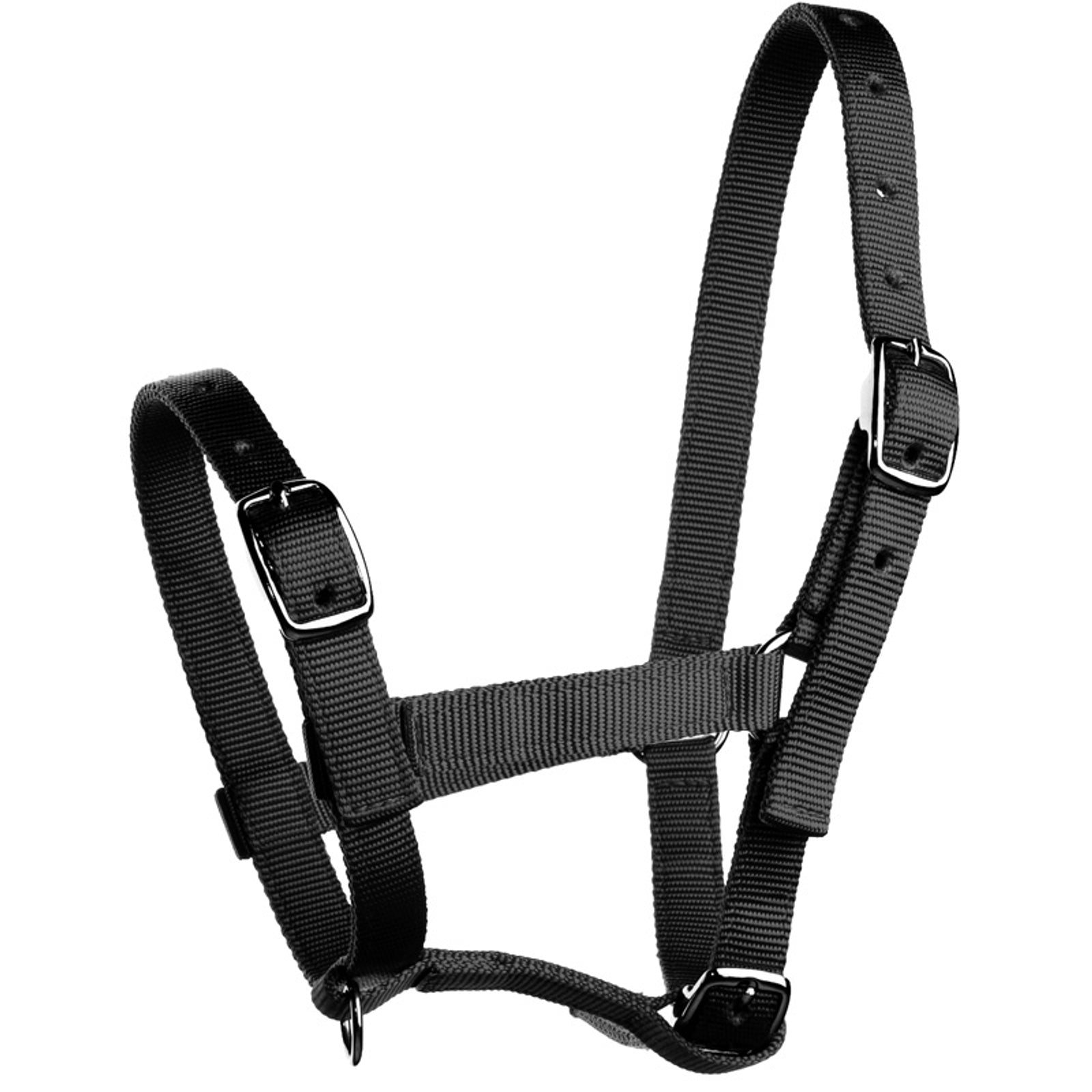 Horze Fohlenhalfter Halfter & Stricke