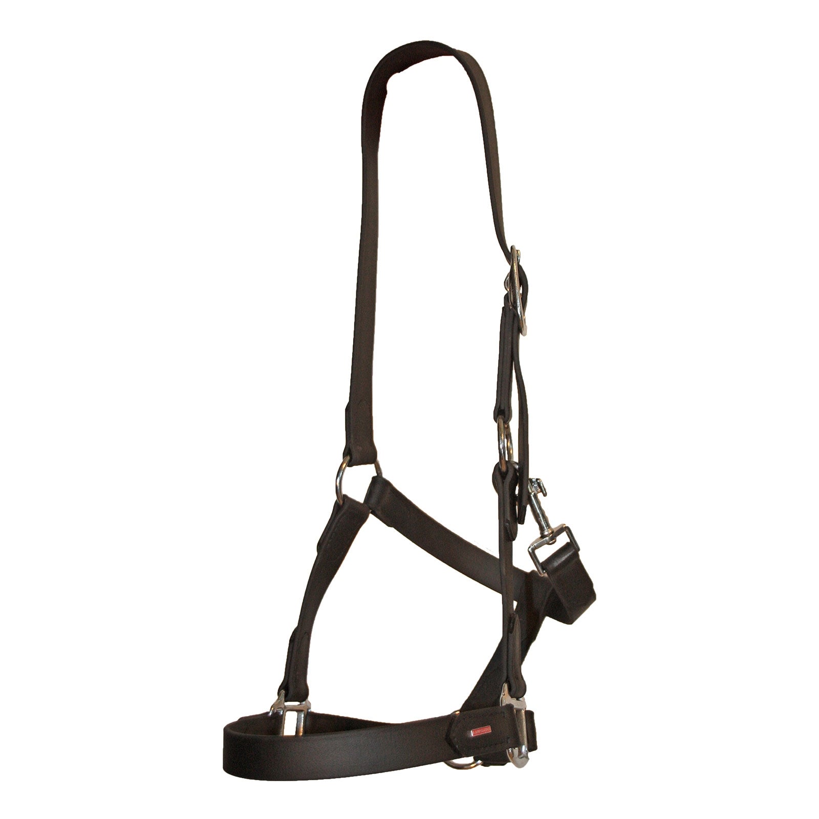 Karlslund Halfter aus BioThane Halfter & Stricke