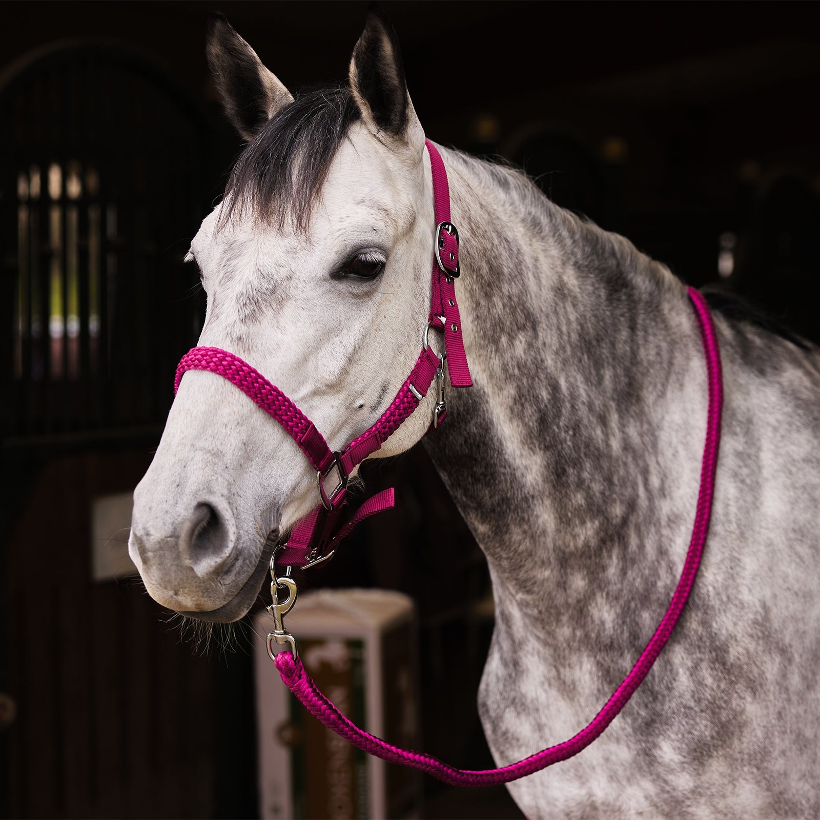 Horze Chicago Halter & Lead Set Halters & Leads