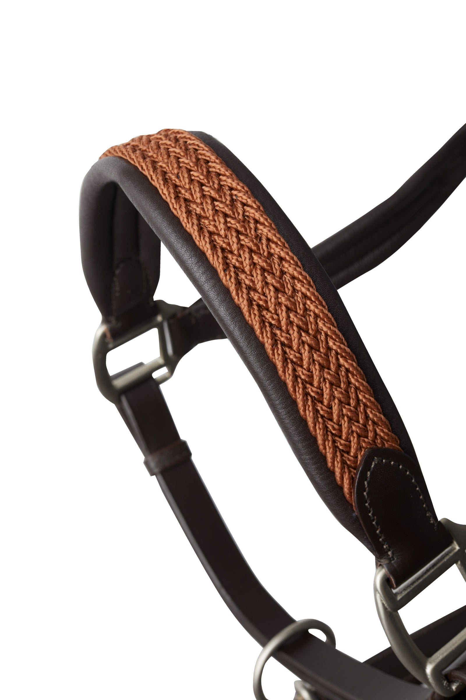 B Vertigo Evolve Leather Halter Halters & Leads