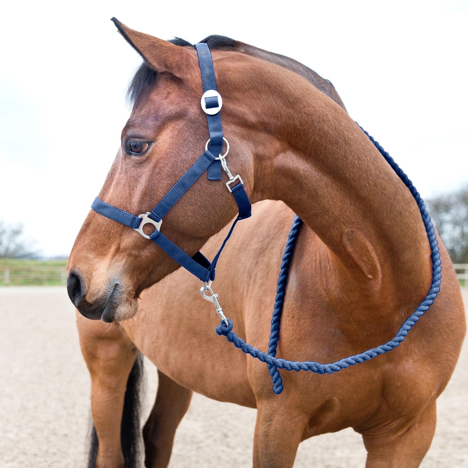 Horze Basic Führstrick Halfter & Stricke