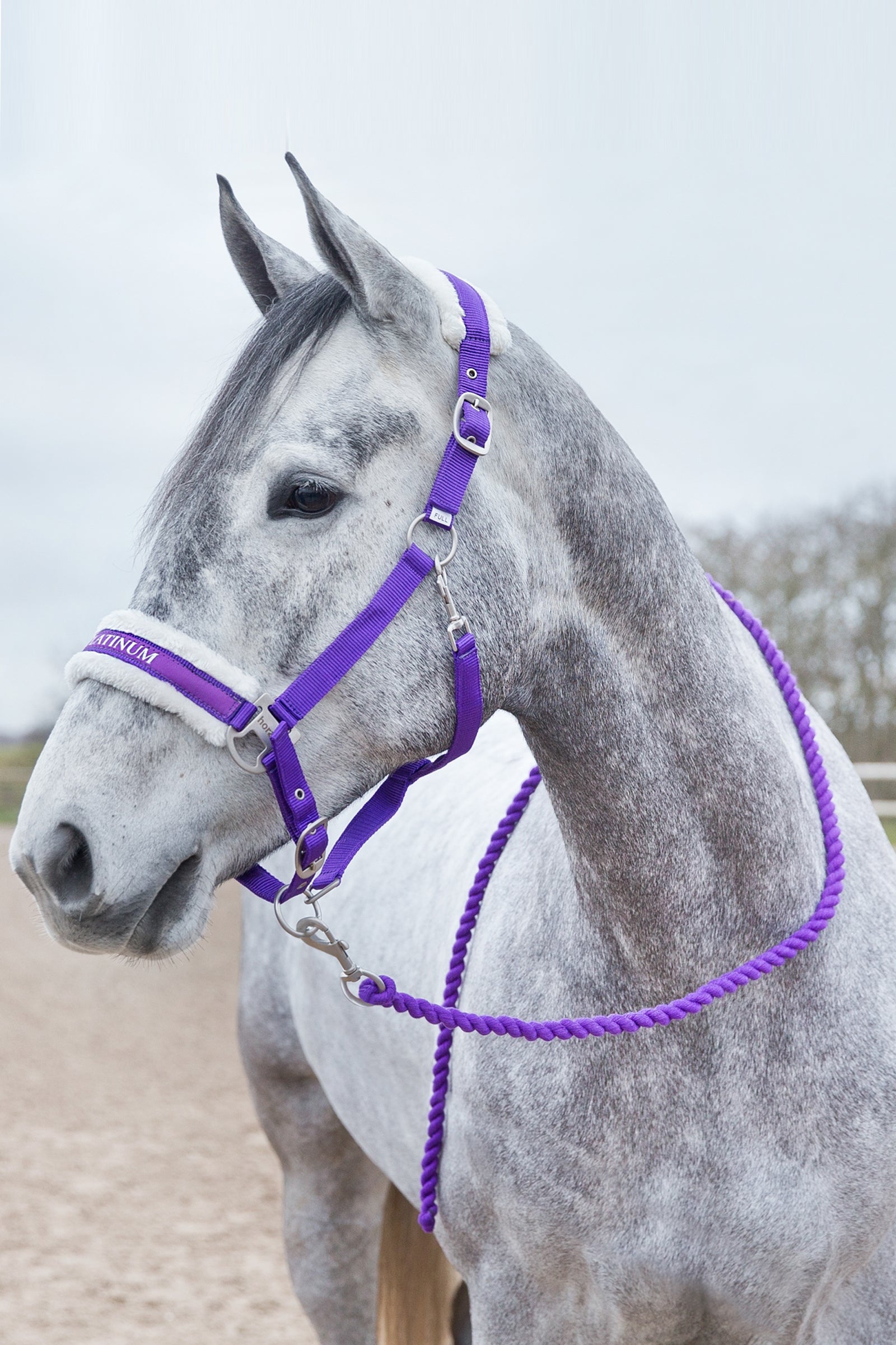 Horze Howard Soft Lead Halters & Leads