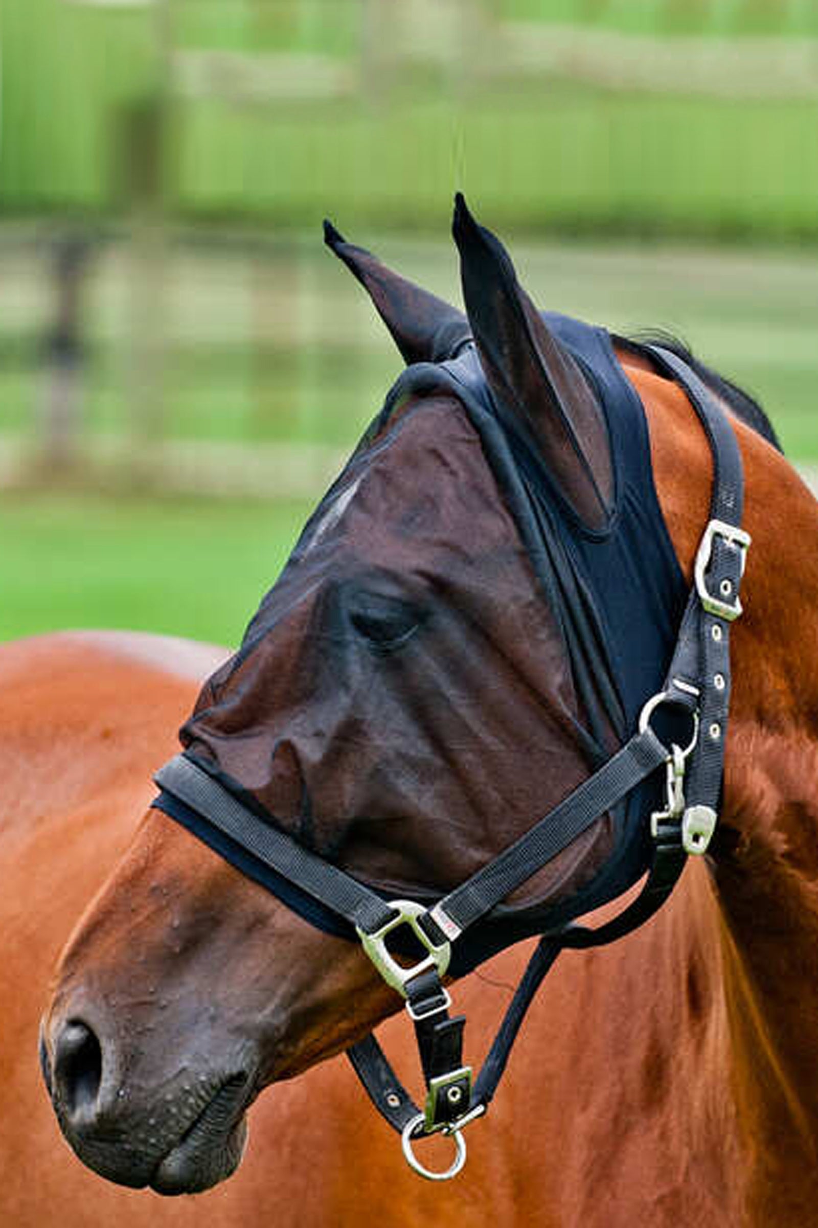 Horze Mesh Fly Mask Antifly Protection for Horses