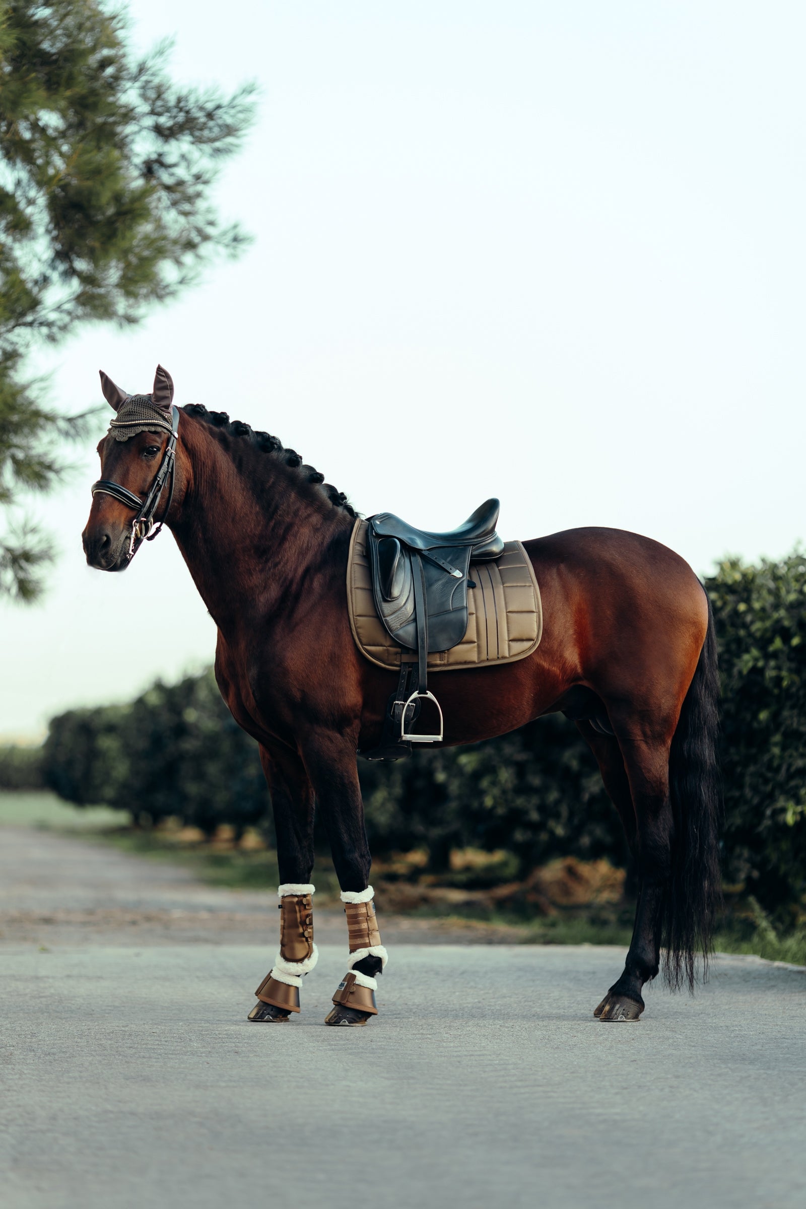 B Vertigo Drew Ear Net Saddle Pads