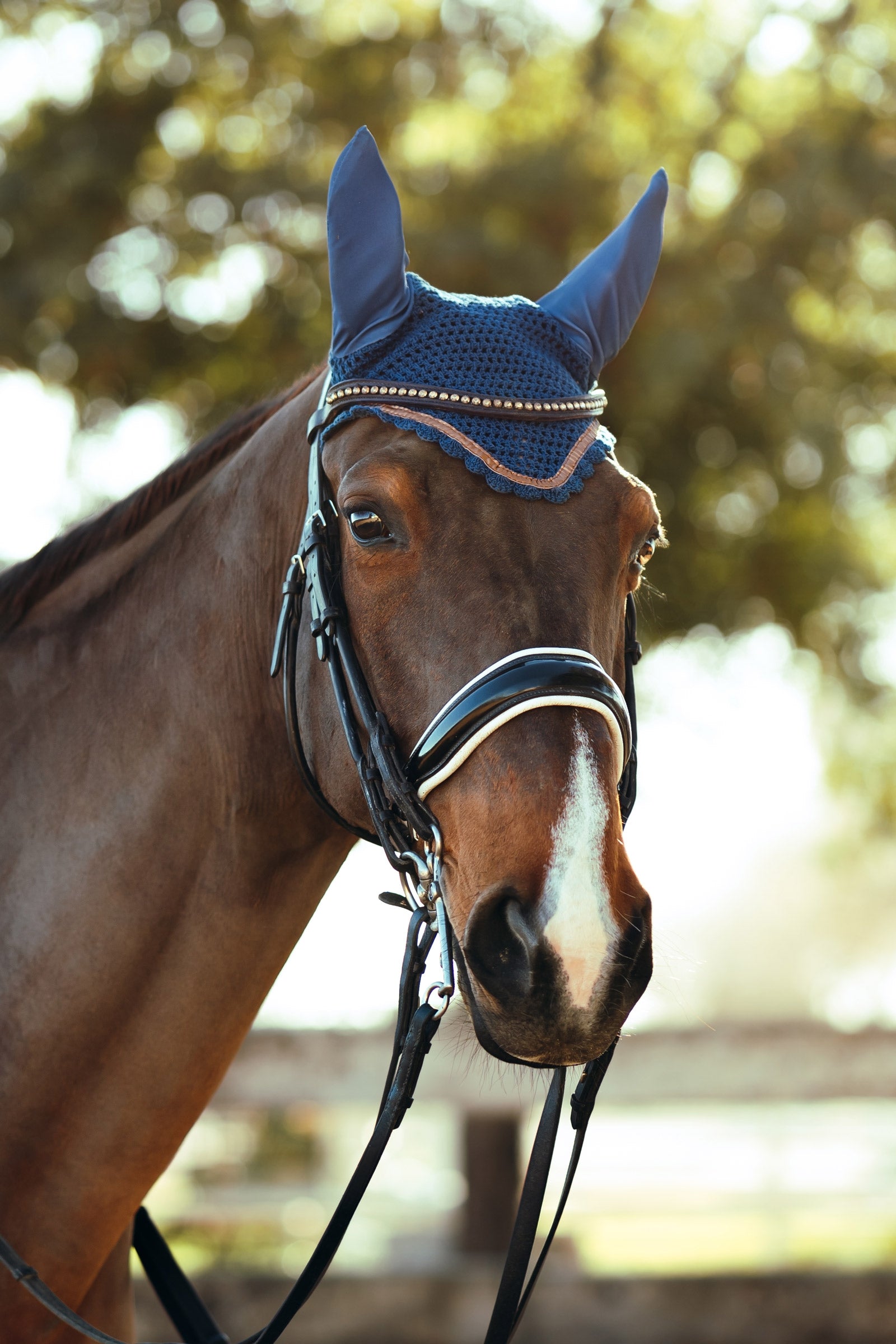 Horze Munich Ear Net with Metallic Detail Saddle Pads