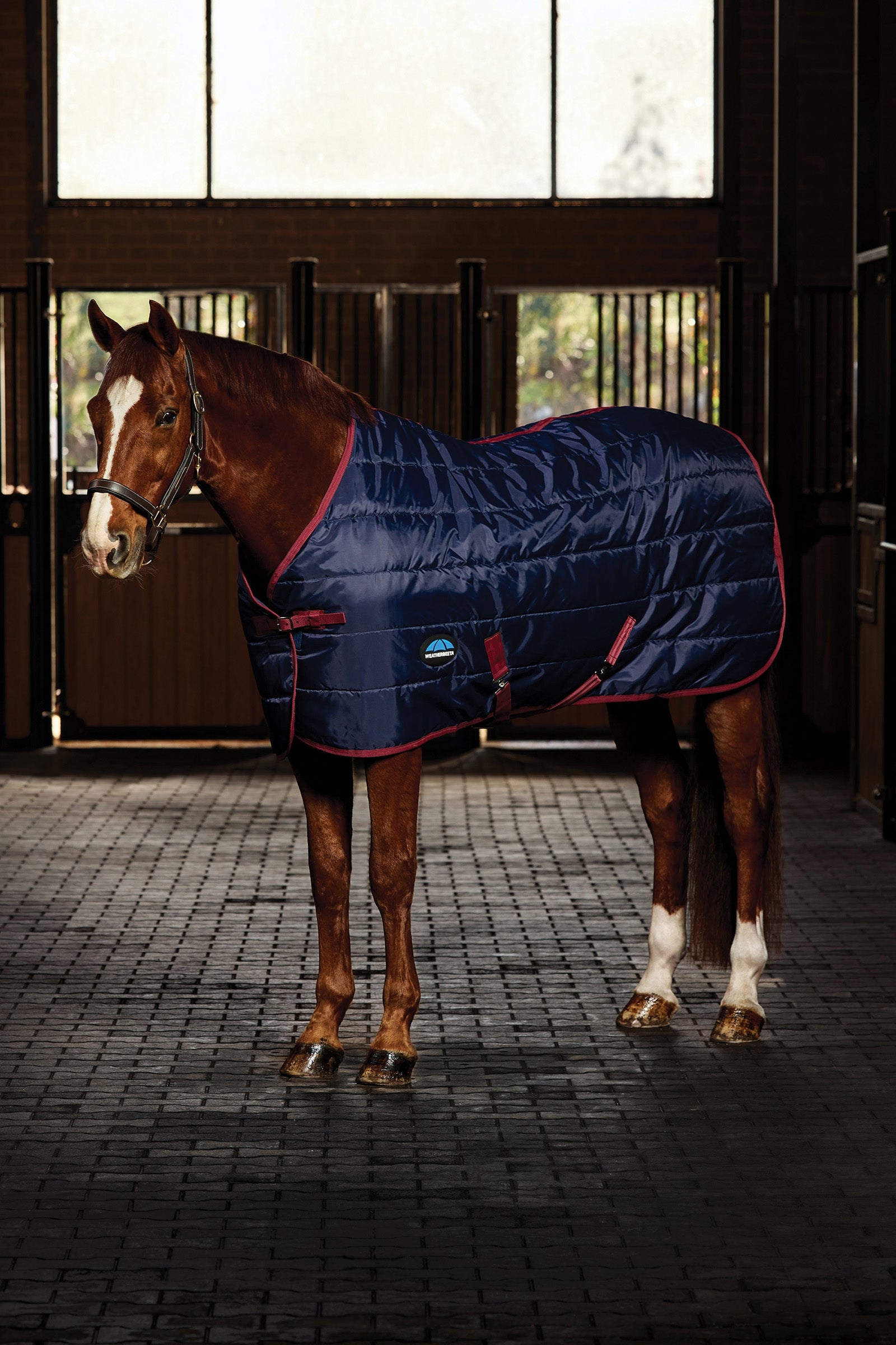 Weatherbeeta ComFiTec 210D Channel Quilt Stable Rug Standard Neck 220G Pferdedecken