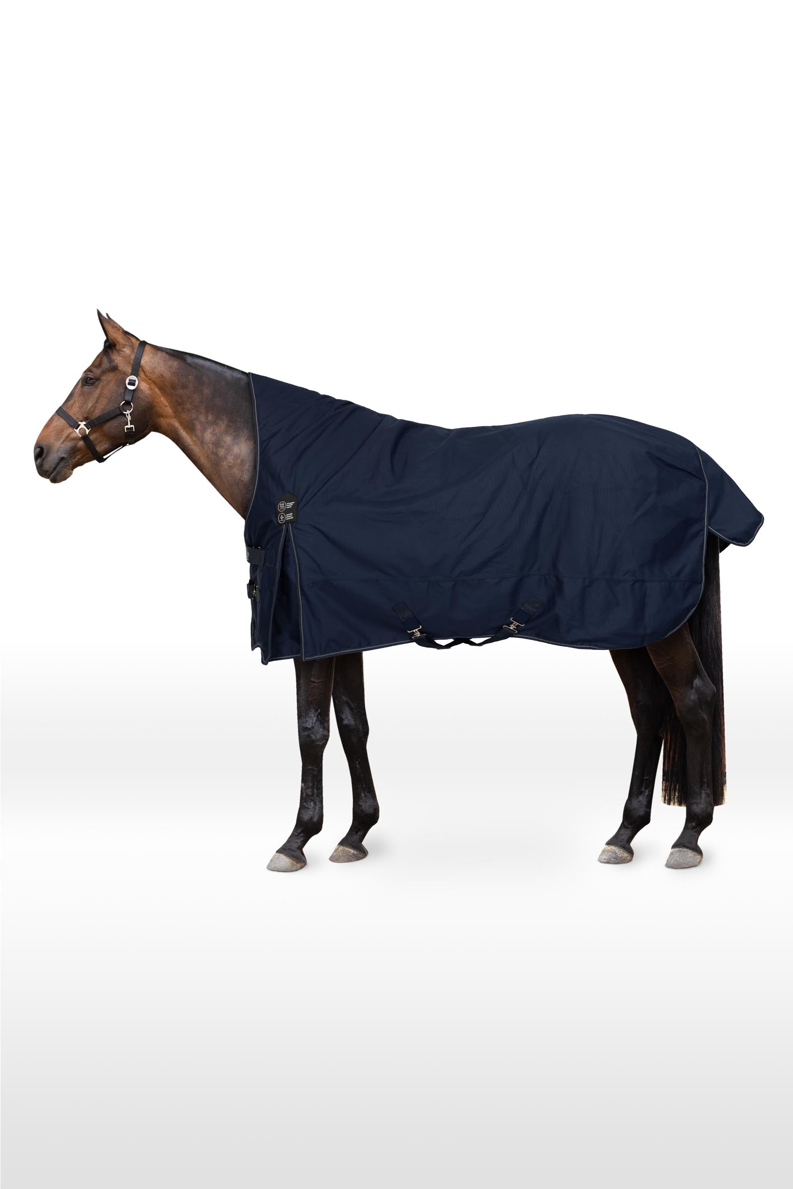 Horze Avalanche Regendecke mit hohem Hals, 150g Pferdedecken