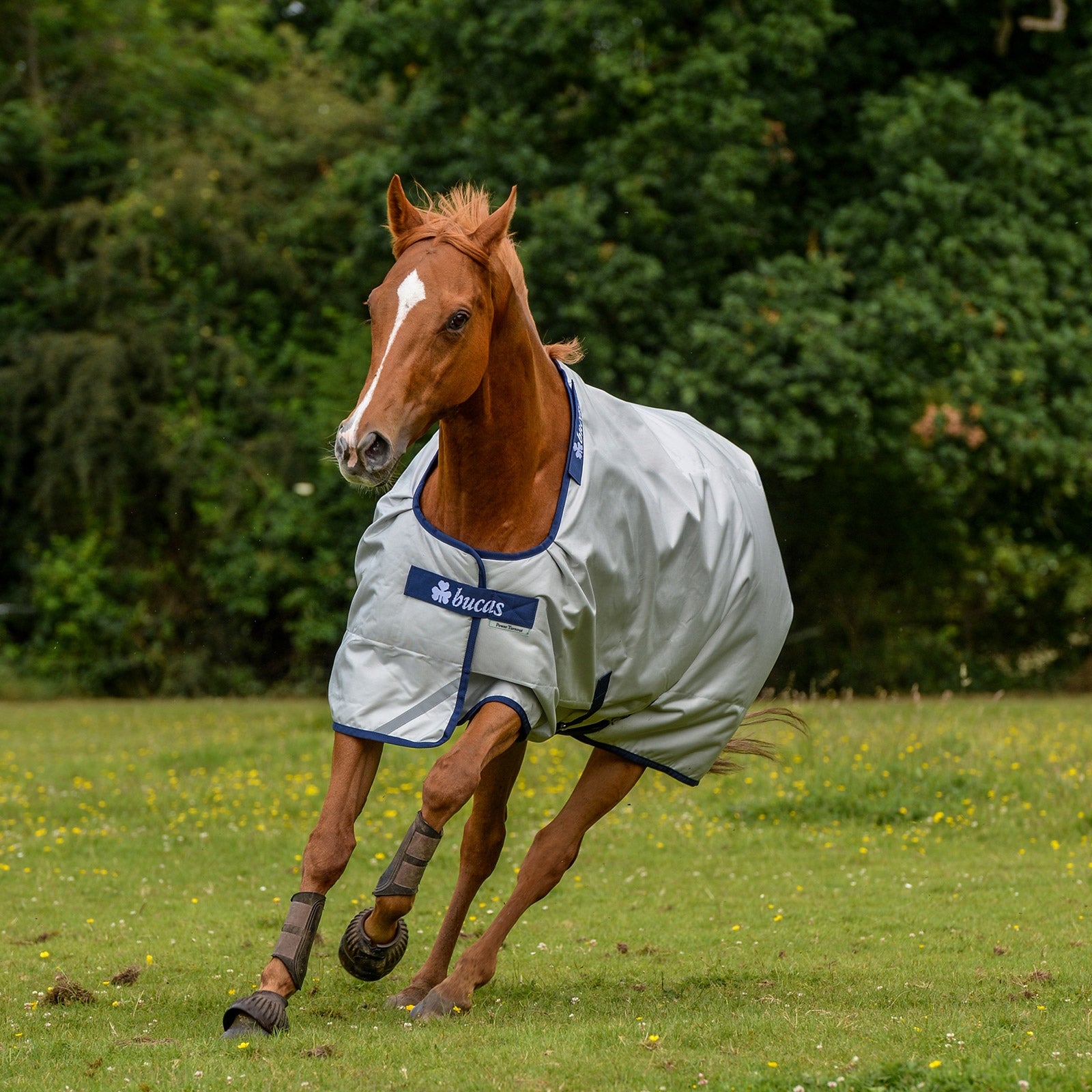 Bucas Bucas Power Turnout Light Classic rug Horse Rugs