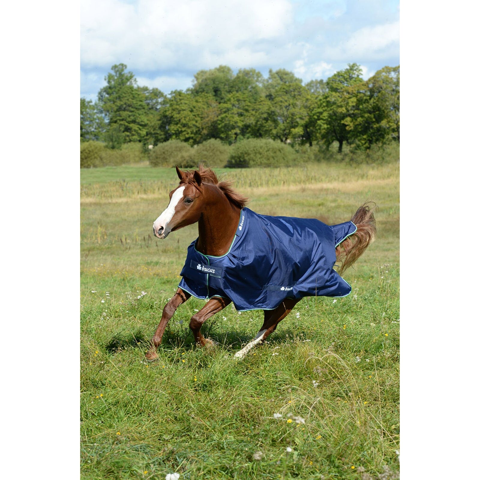 Bucas Smartex Medium Turnout decke Pferdedecken