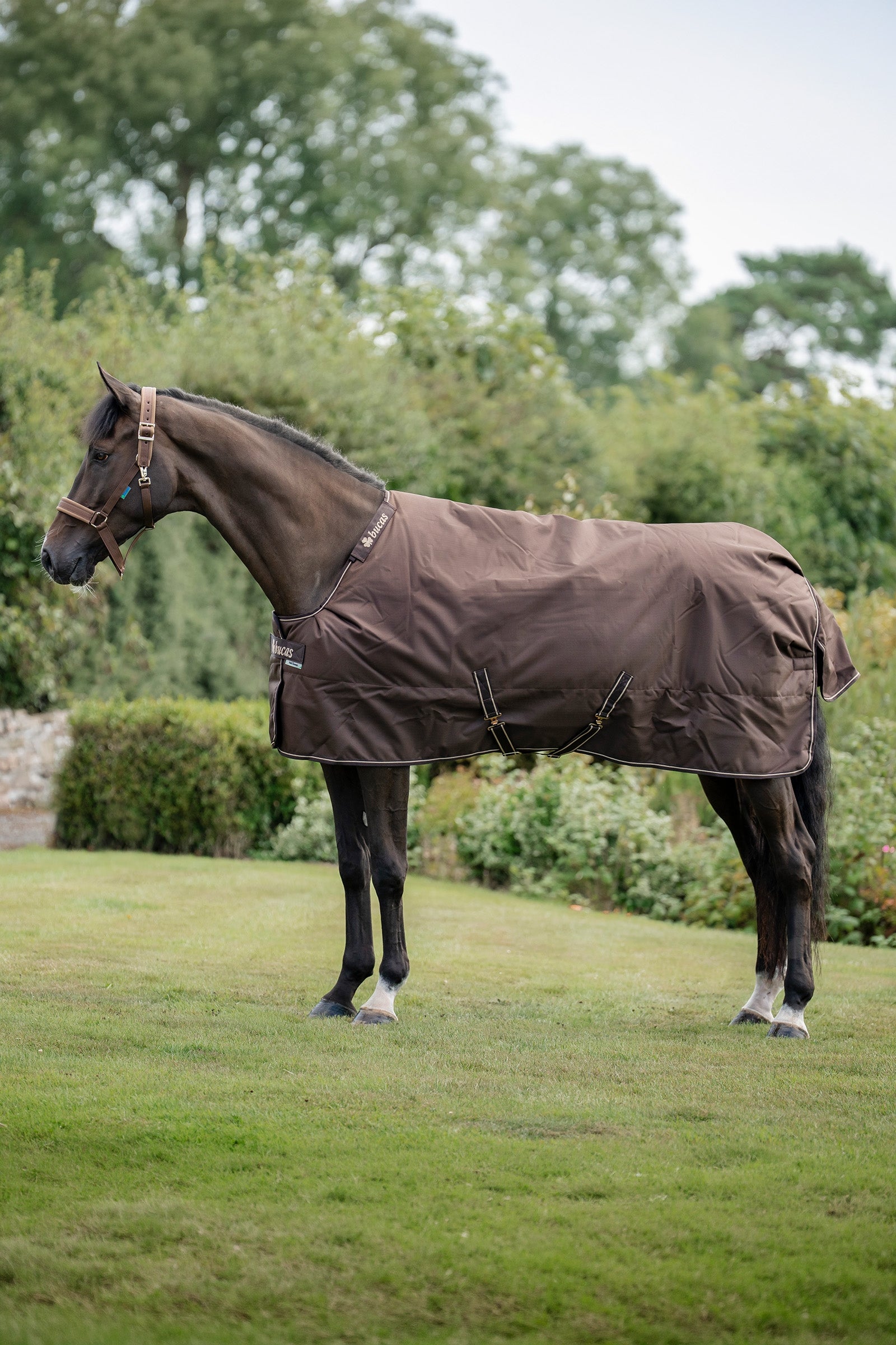 Bucas Irish Turnout Rug, 50g Horse Rugs