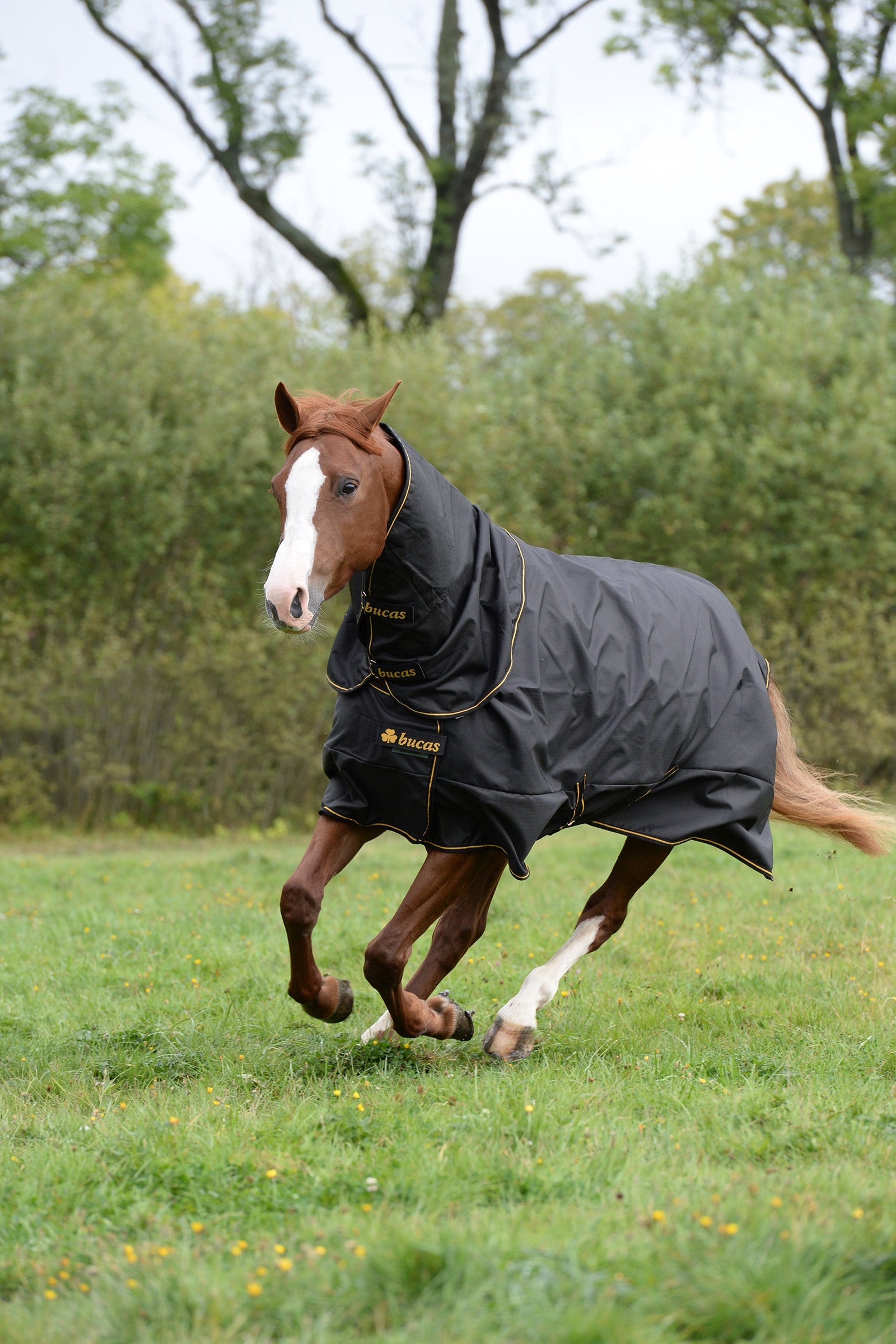 Bucas Irish Turnout Extra Pony Winterdecke, 300g Pferdedecken