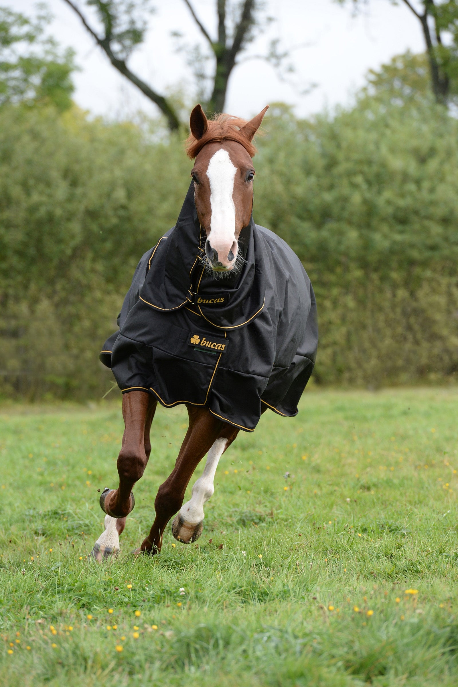 Bucas Irish Turnout Extra Pony Turnout Rug, 300g Horse Rugs