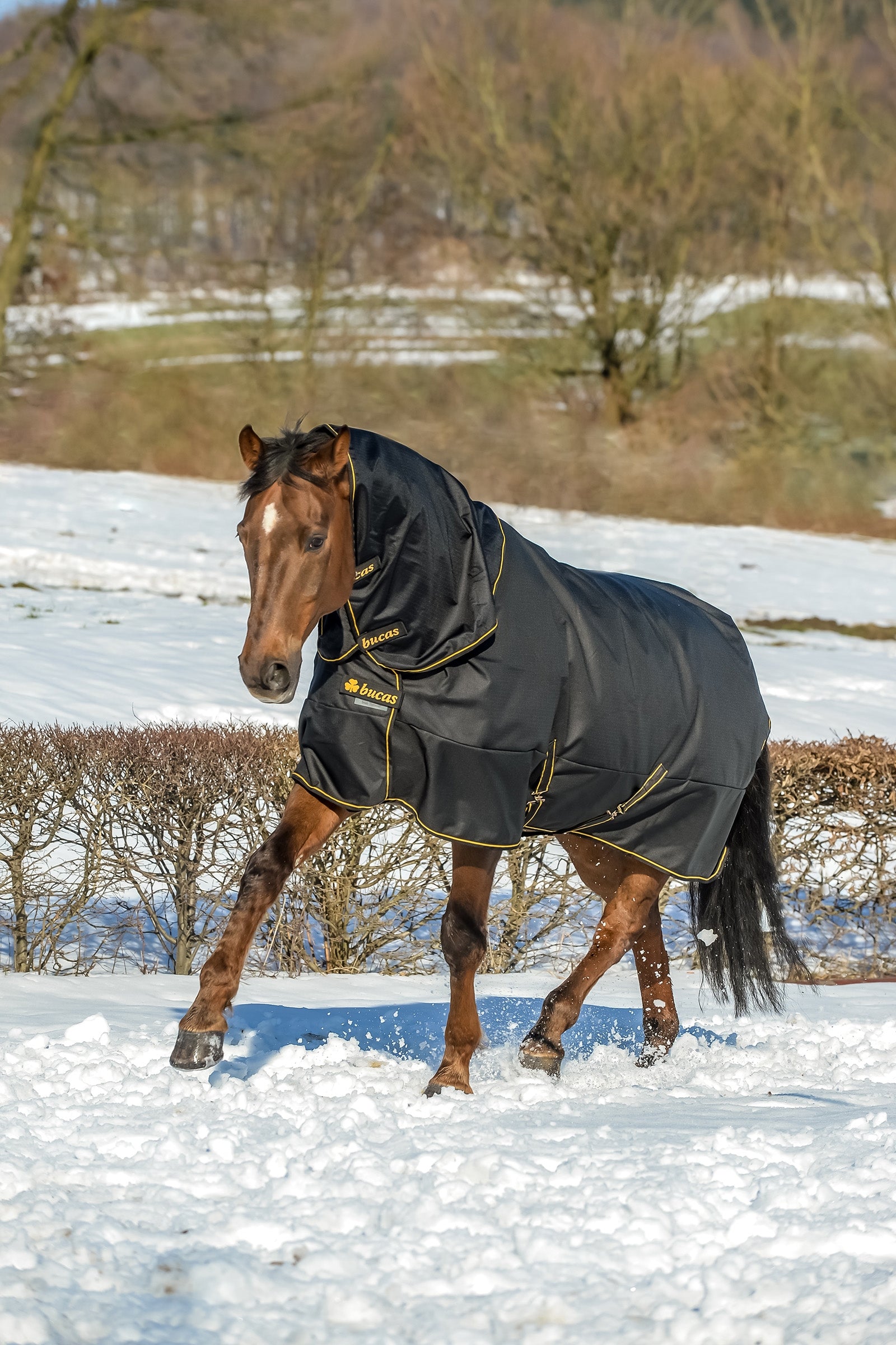 Bucas Irish Turnout Extra Pony Turnout Rug, 300g Horse Rugs