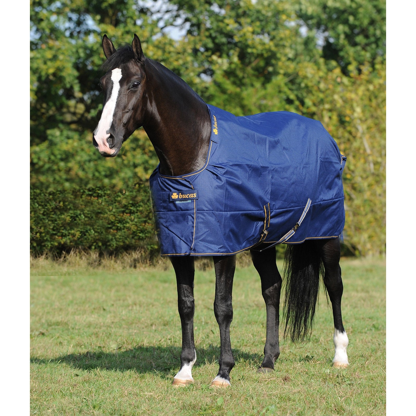 Bucas Irish Turnout Extra Pony Turnout Rug, 300g Horse Rugs